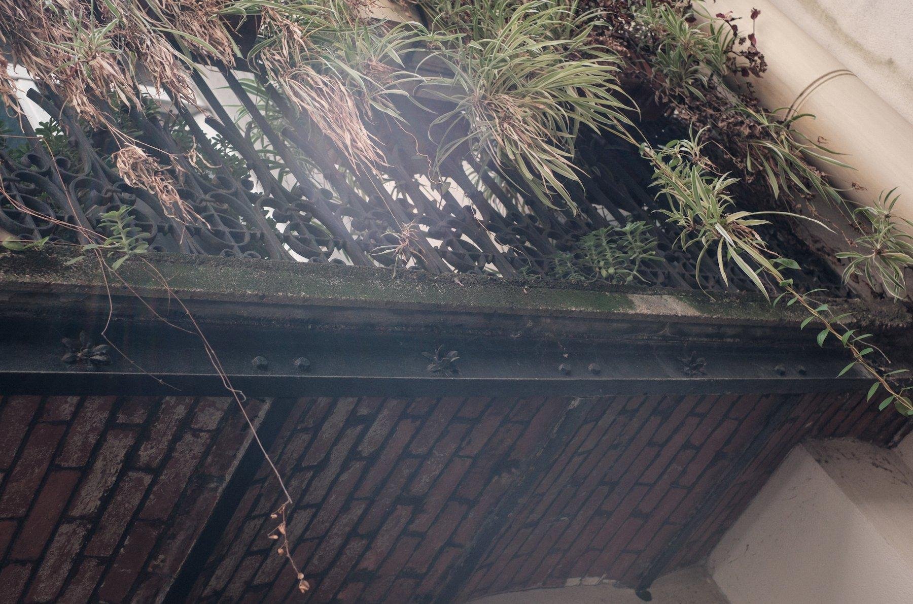 Photo horizontale. Contre plongée sur un balcon au premier étage. On voit le dessous du balcon, en brique rouge avec des cadres en acier noir, donnant un look industriel, contrasté par la myriades de plantes qui dépassent et descendent du balcon