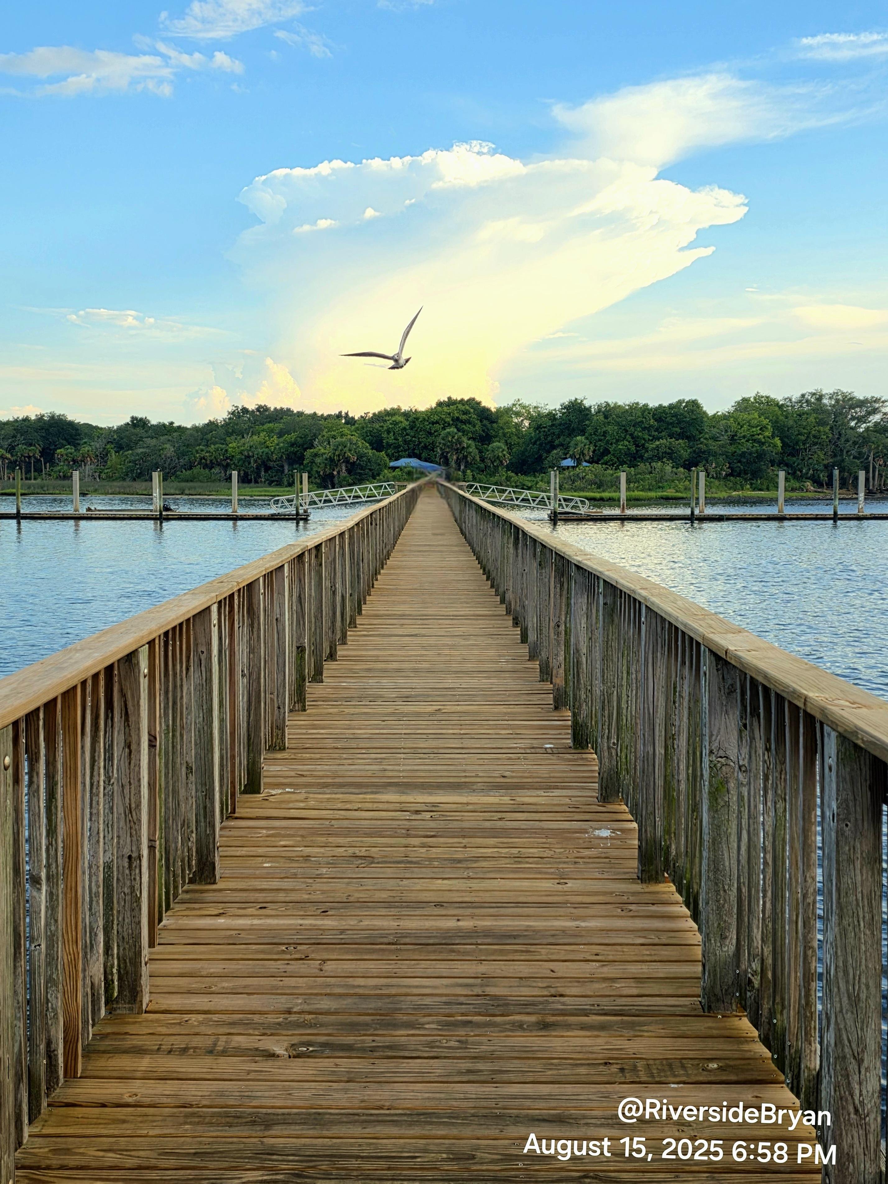 A wooden boardwalk extends over a body of water towards a tree-lined shore, with a seagull flying overhead. The sky is mostly clear with scattered clouds, including a large cumulus cloud in the background. The bottom right corner displays the text "@RiversideBryan August 15, 2025 6:58 PM".