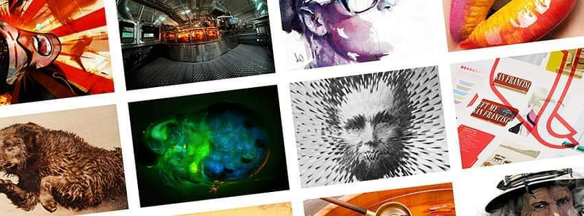 header profile