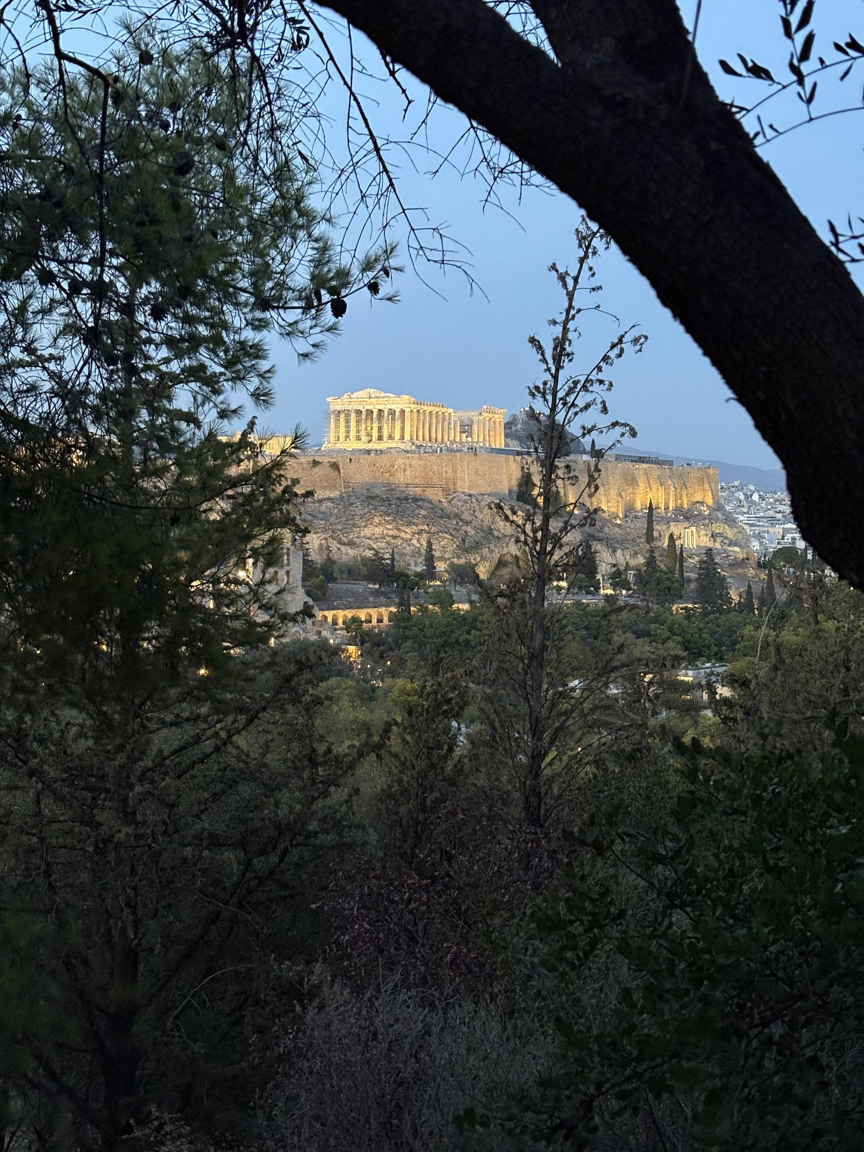 The Parthenon, illuminated against a twilight sky, sits atop the Acropolis in Athens. Framed by dark, silhouetted tree branches and foliage in the foreground, the ancient structure stands out with its distinct columns and classical architecture. The cityscape of Athens spreads out below.