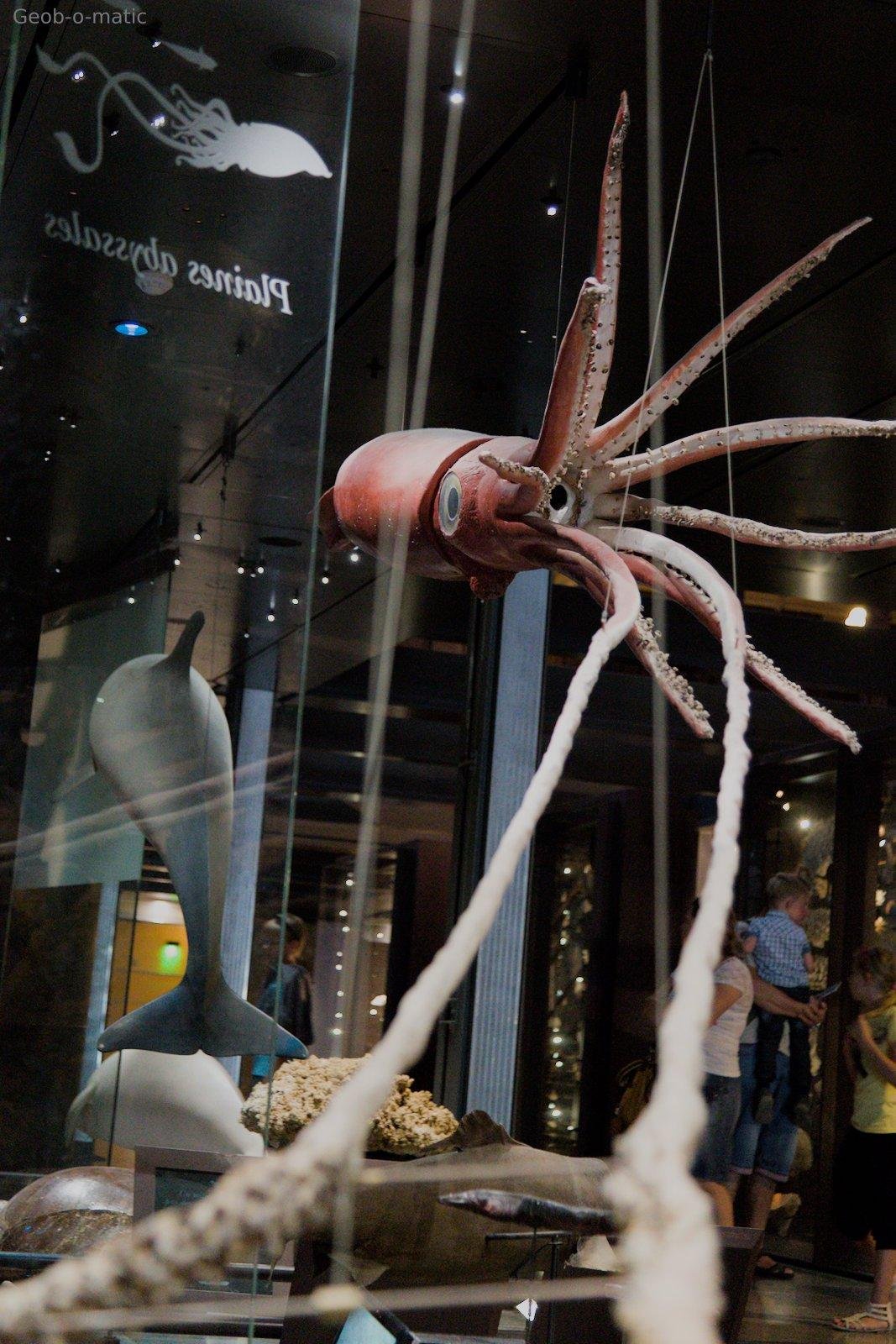 Photo verticale. Un kraken géant dont des tentacules sont au premier plan et dirige le regard vers son corps