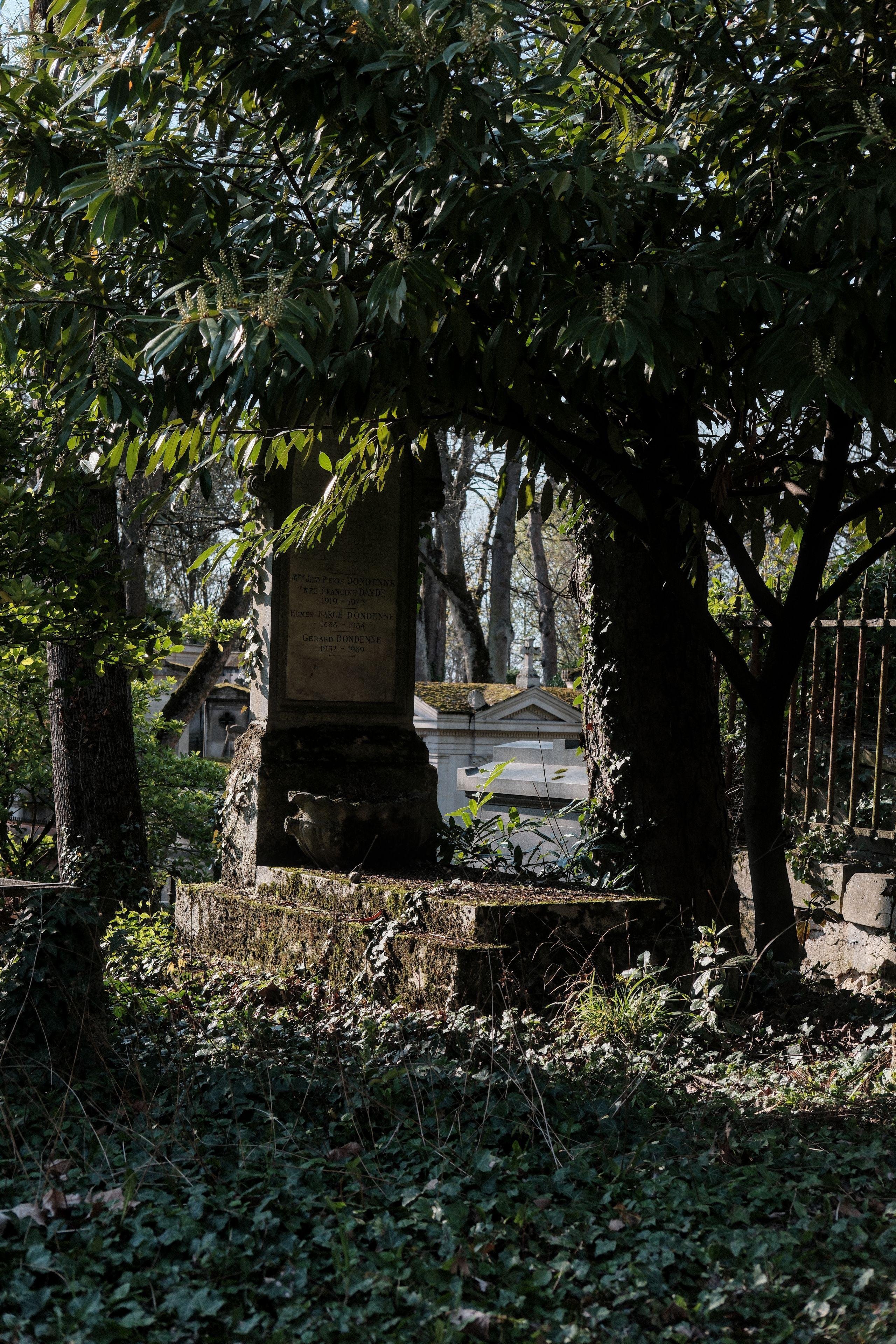 Photo verticale. Une vieille tombe sous l’ombre d’un arbre