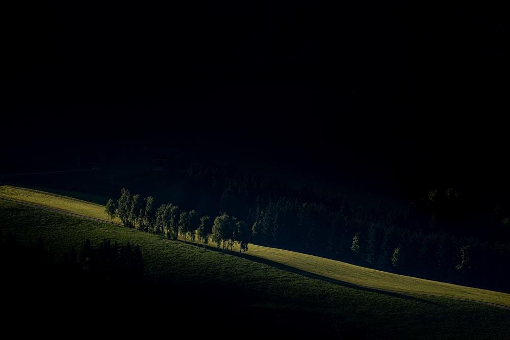 Almost black picture. There are a few trees in a row in the middle. There is a small strip of sun directly behind the trees.
