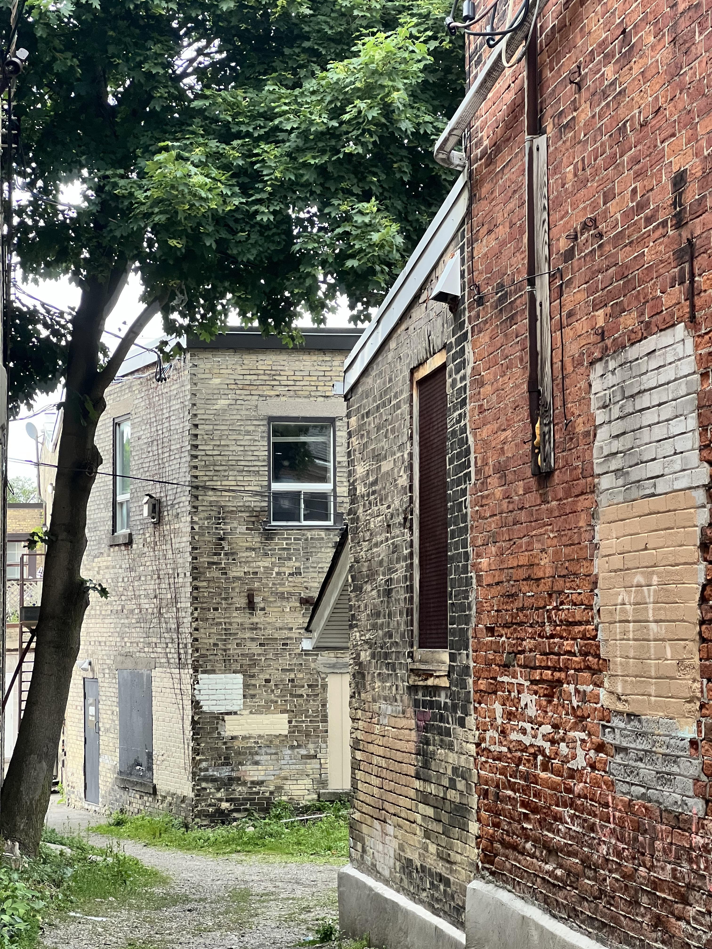 The view down an alleyway between two streetfront, retail buildings. A brick wall, originally red but with an addition of grey-ish and a patch of yellow and lighter grey bricks, is filling the right side of the frame. Farther back in the perspective is a tree on th left, and the frame roughly centres the rear brick wall and its window of the back of the building on the next street over.
