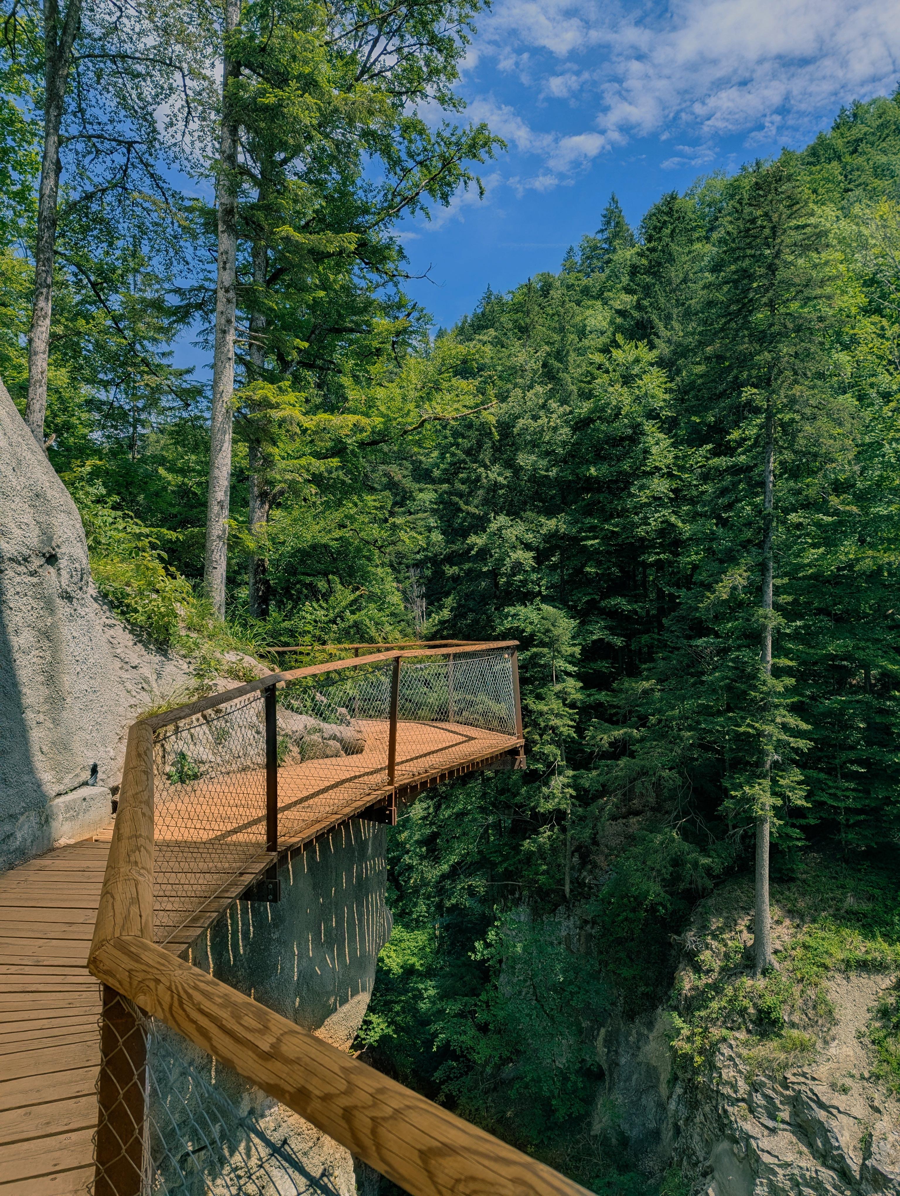 Curved wooden cliffside walkway with metal mesh railing overlooking a forested gorge, with tall trees and green hillsides under a blue sky with scattered clouds.