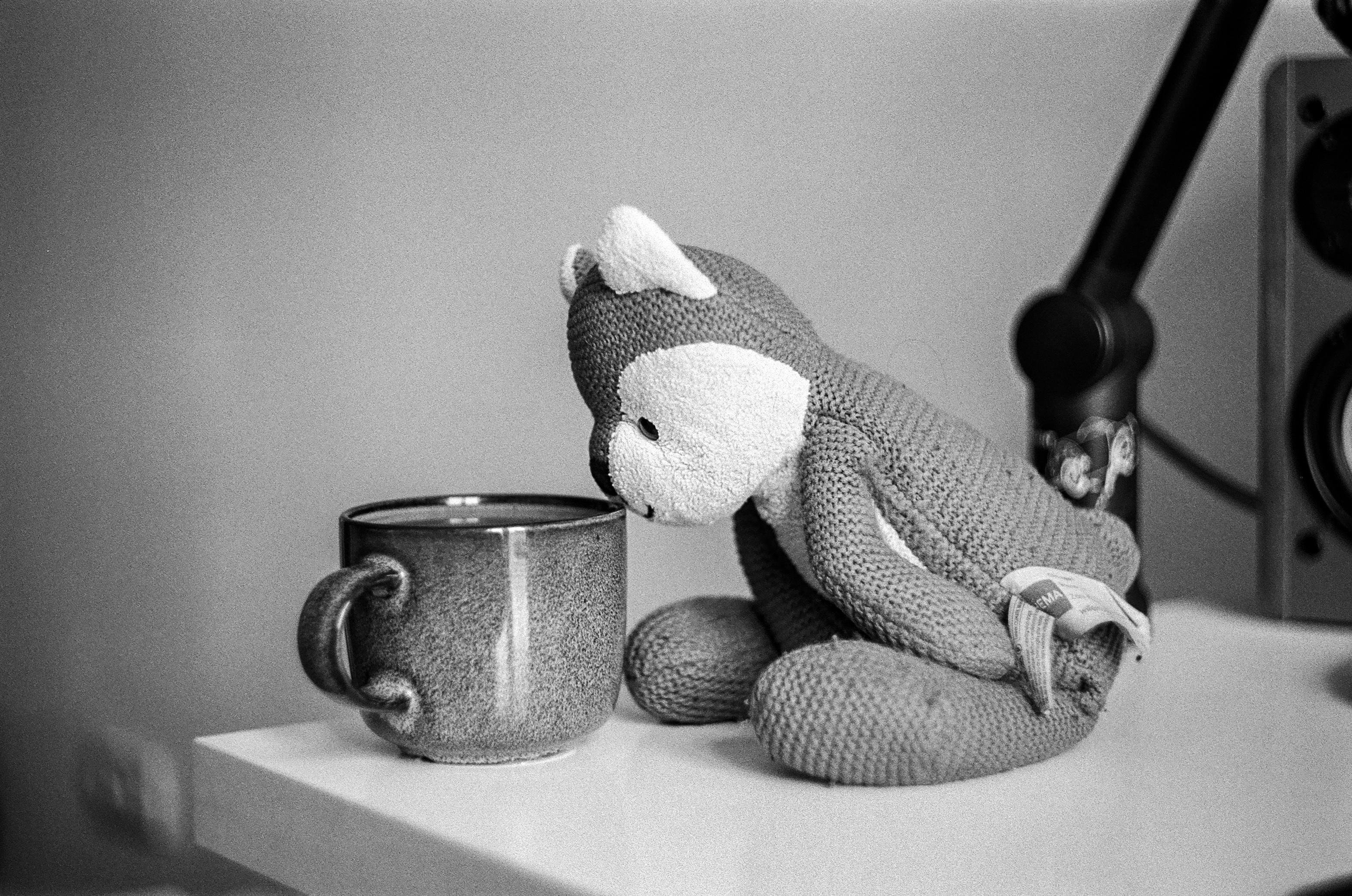 B&W analog photo of a fox plushie sat next to a mug full of coffee
