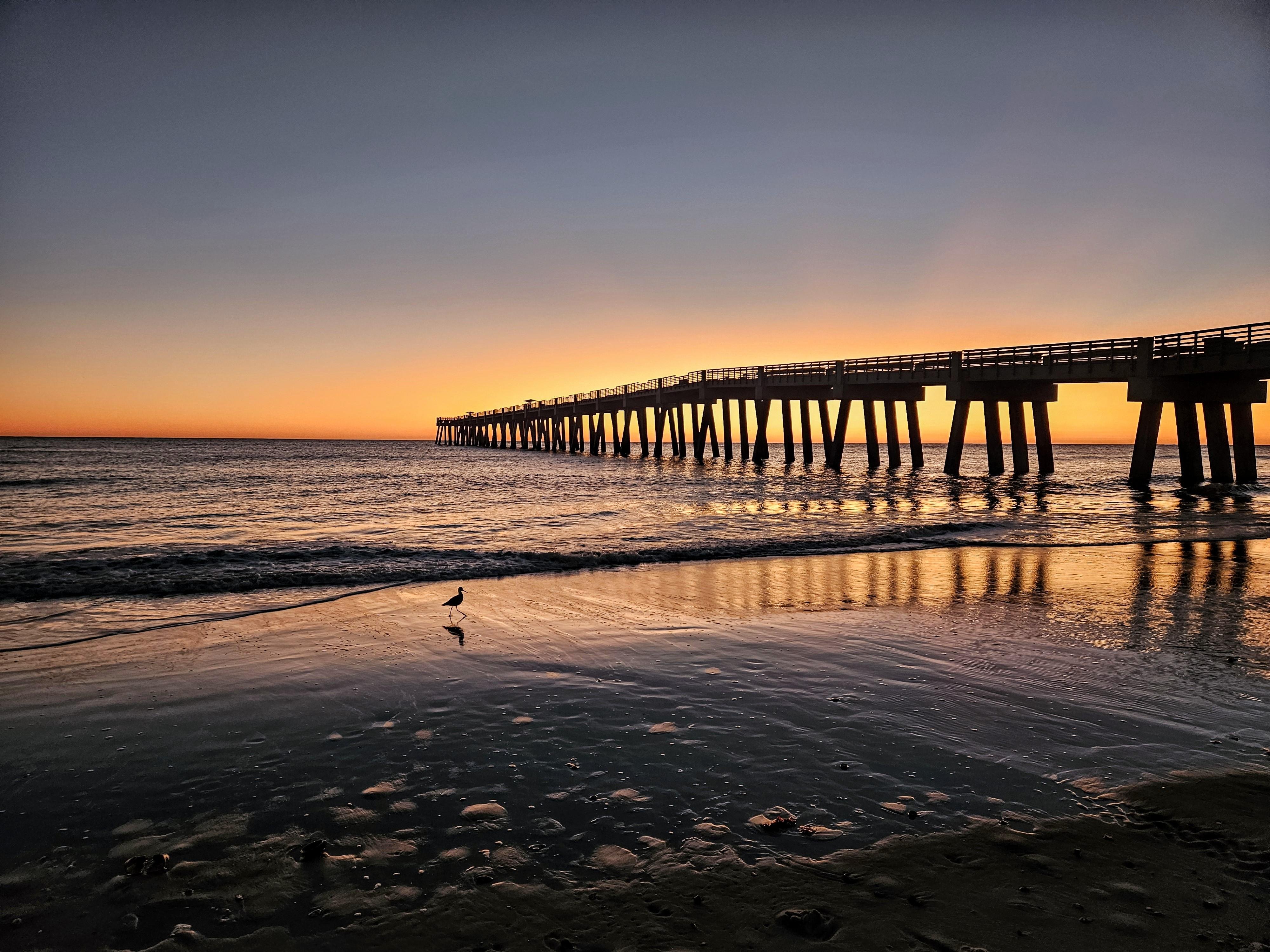 A pier extending into the ocean at sunset with a gradient sky transitioning from blue to orange. Calm waves reaching the wet, reflective sand. A solitary bird stands near the waterline, reflecting the golden light.