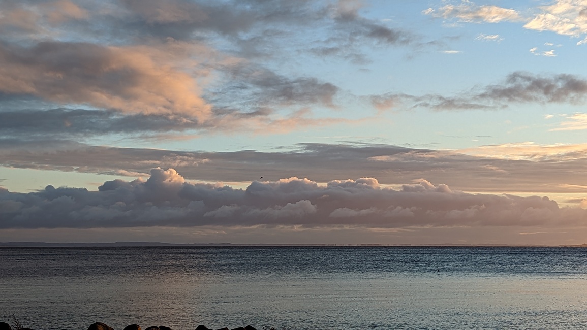 header profile
