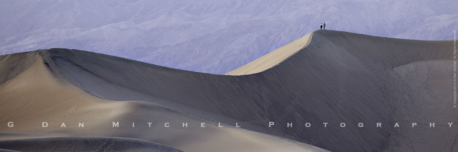 header profile