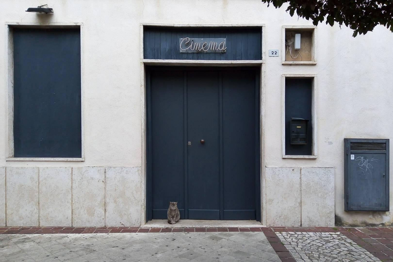 Ingresso di un cinema cittadino, sormontata da una piccola insegna al neon con la scritta "Cinema" in corsivo. Le imposte sono bluastre, il muro è bianco sporco e in basso è visibile un gatto seduto sulla soglia.