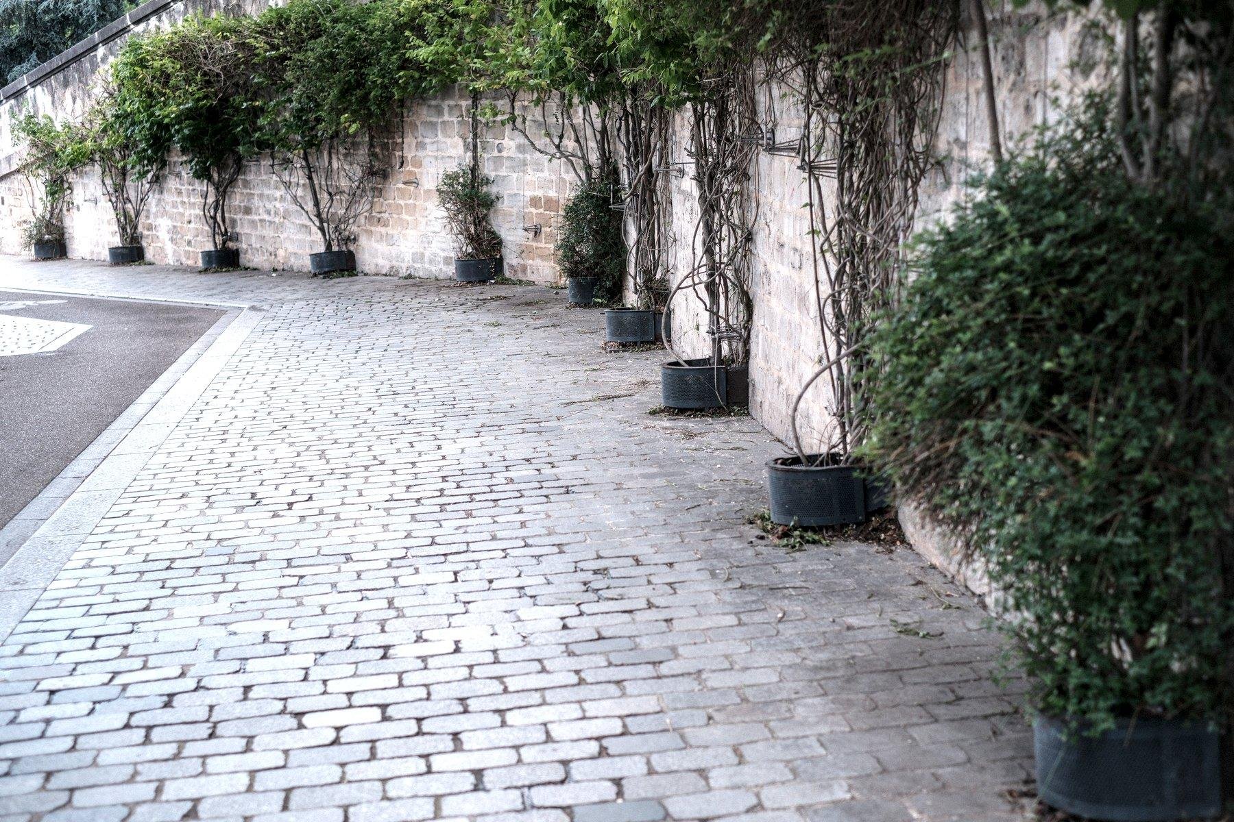 Photo horizontale. Un trottoir pavé qui descend et tourne vers la gauche en longeant un mur en brique. Le long du mur, à espaces régulier, des caches pots en métal qui protègent des lierres