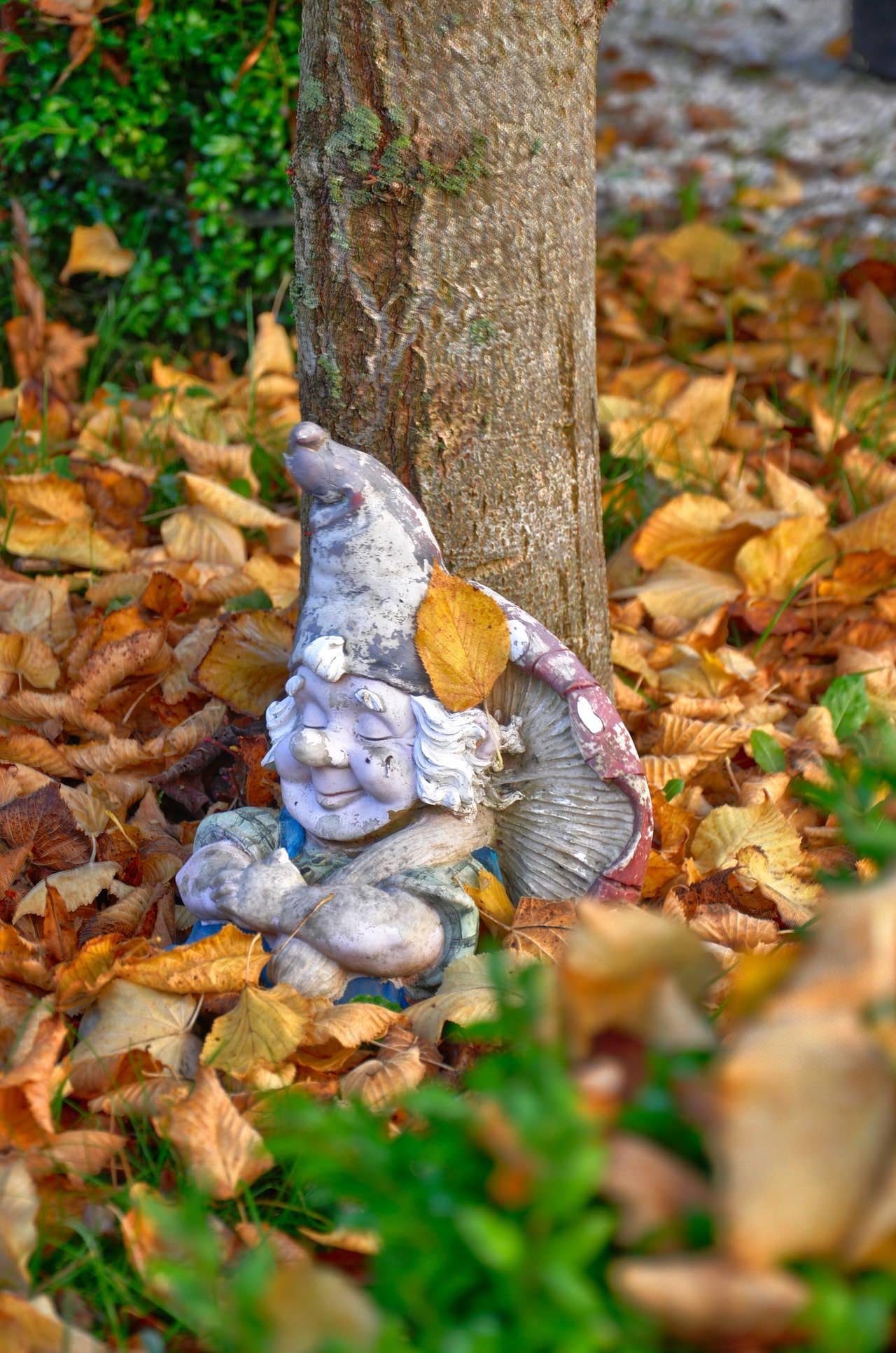 Garden gnome statue leaning against a tree trunk, surrounded by fallen autumn leaves; a yellow leaf rests on its gray hat, with blurred greenery in the foreground.