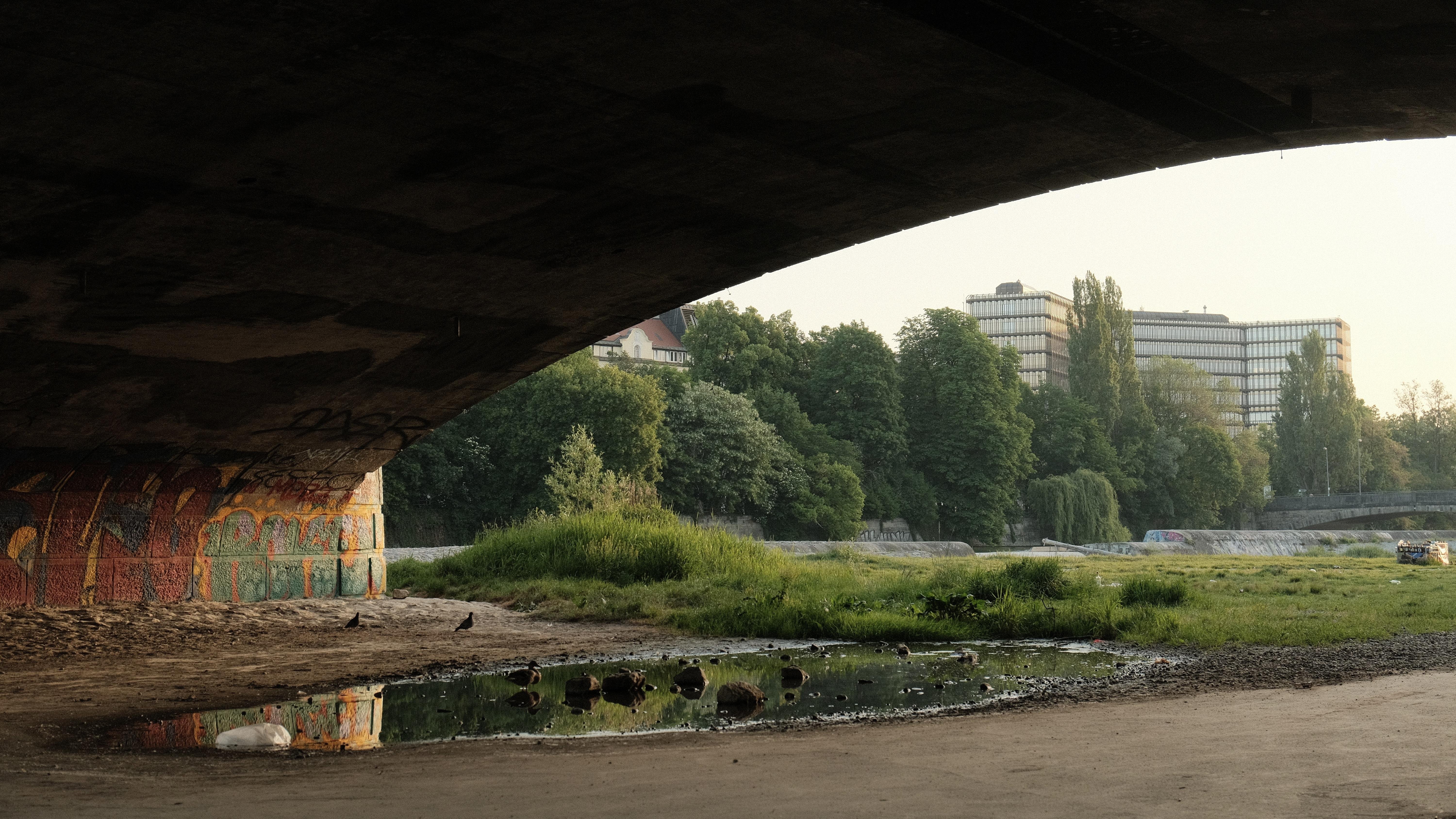 View from beneath a stone bridge with graffiti on the left support, looking toward a shallow puddle and muddy riverbank; grassy patches and trees line the opposite side, with a modern office building and a road bridge in the background.
The perspective contrasts the dark, muddy part under the bridge with the dense green flora along the riverthe, which is also illuminated by a warm, rising sun.