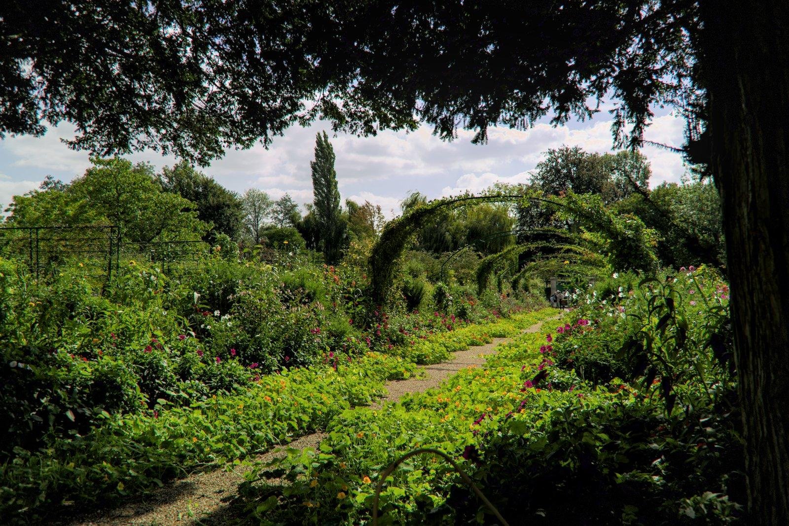 Photo format paysage d’un chemin éclairé par le soleil, dans un jardin passant sous des arches végétalisées. Il n’y a que verdure et fleurs tout autour et la silhouette d’un arbre cadrant l’image au premier plan.