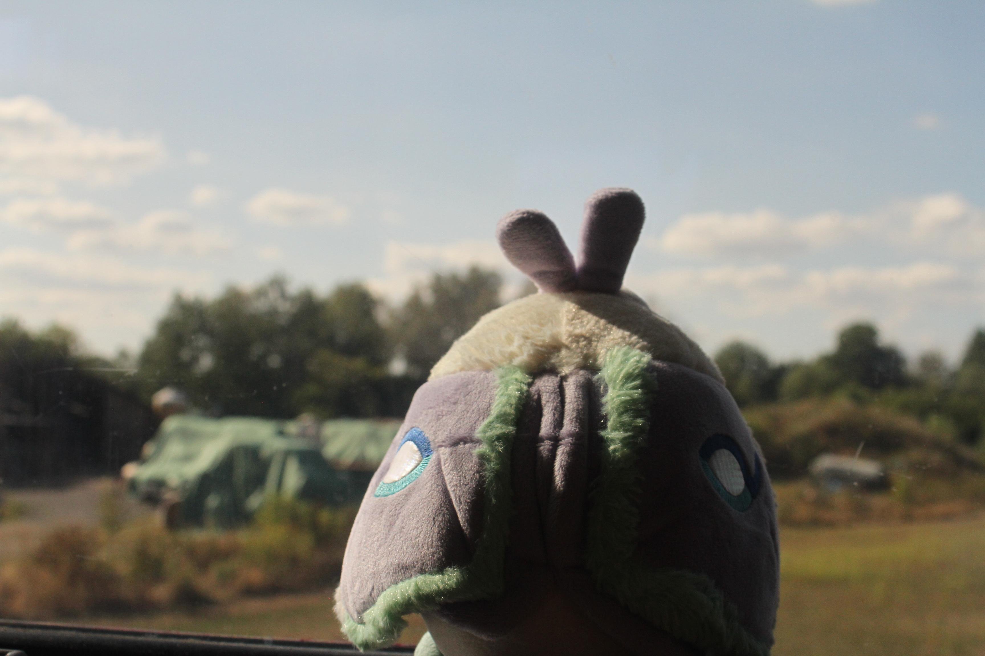 a plush moth looking out of a window, in the background fields and buildings can be seen