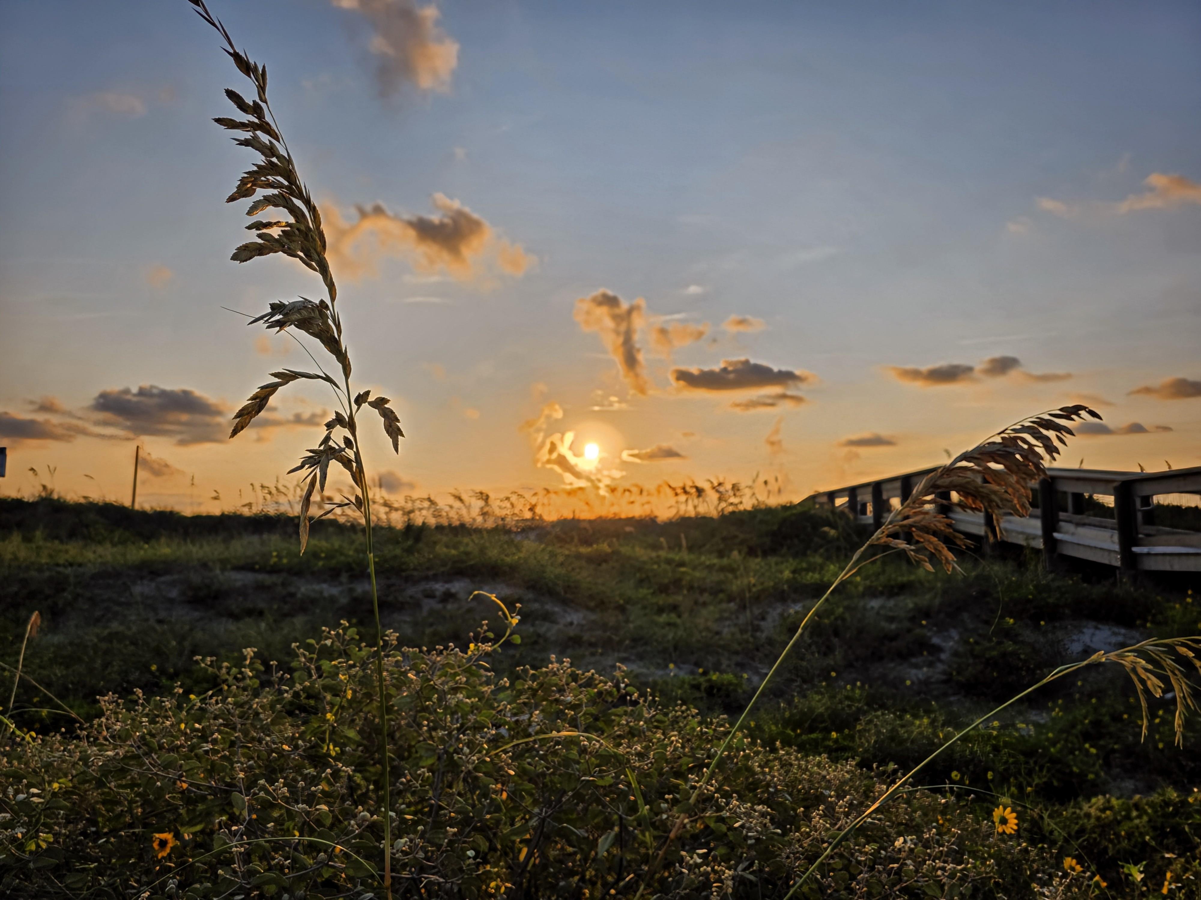 Sun rising over a grassy landscape, with tall grasses and wildflowers in the foreground. A wooden boardwalk extends to the right, leading toward the horizon. Scattered clouds in the sky are illuminated by the sun's glow.
