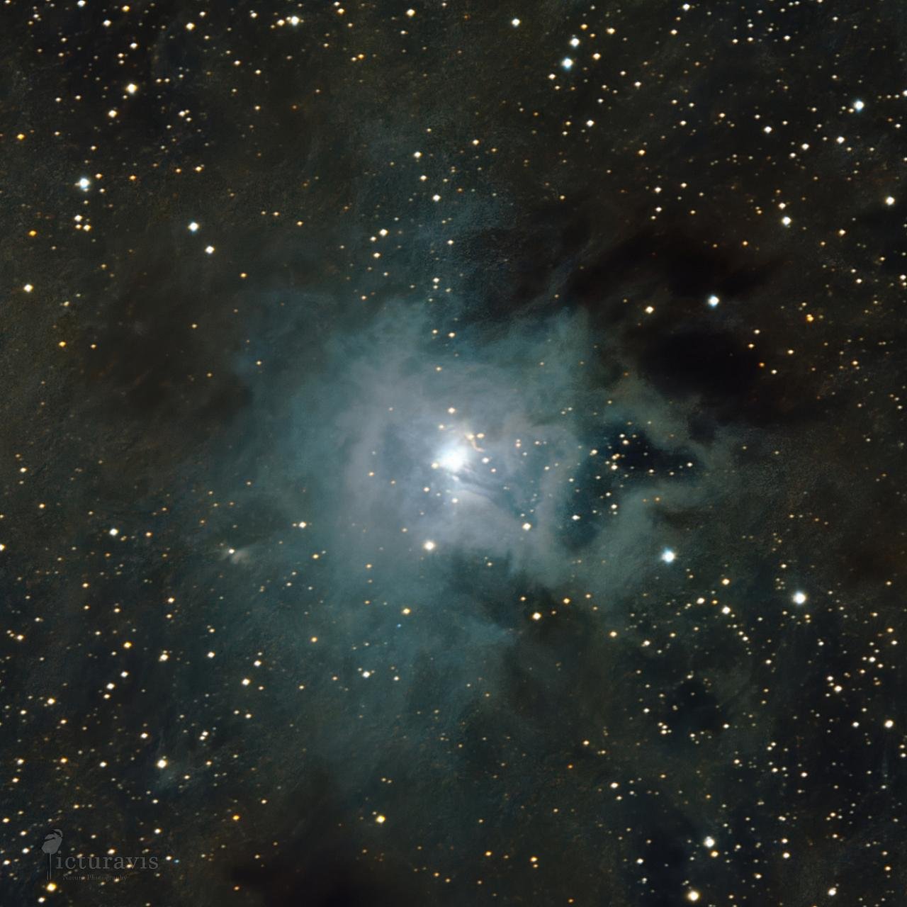 A cropped version of a bright star that illuminates a roundish dark nebula with pale blue light. A lot of stars are visible around and behind the nebula.