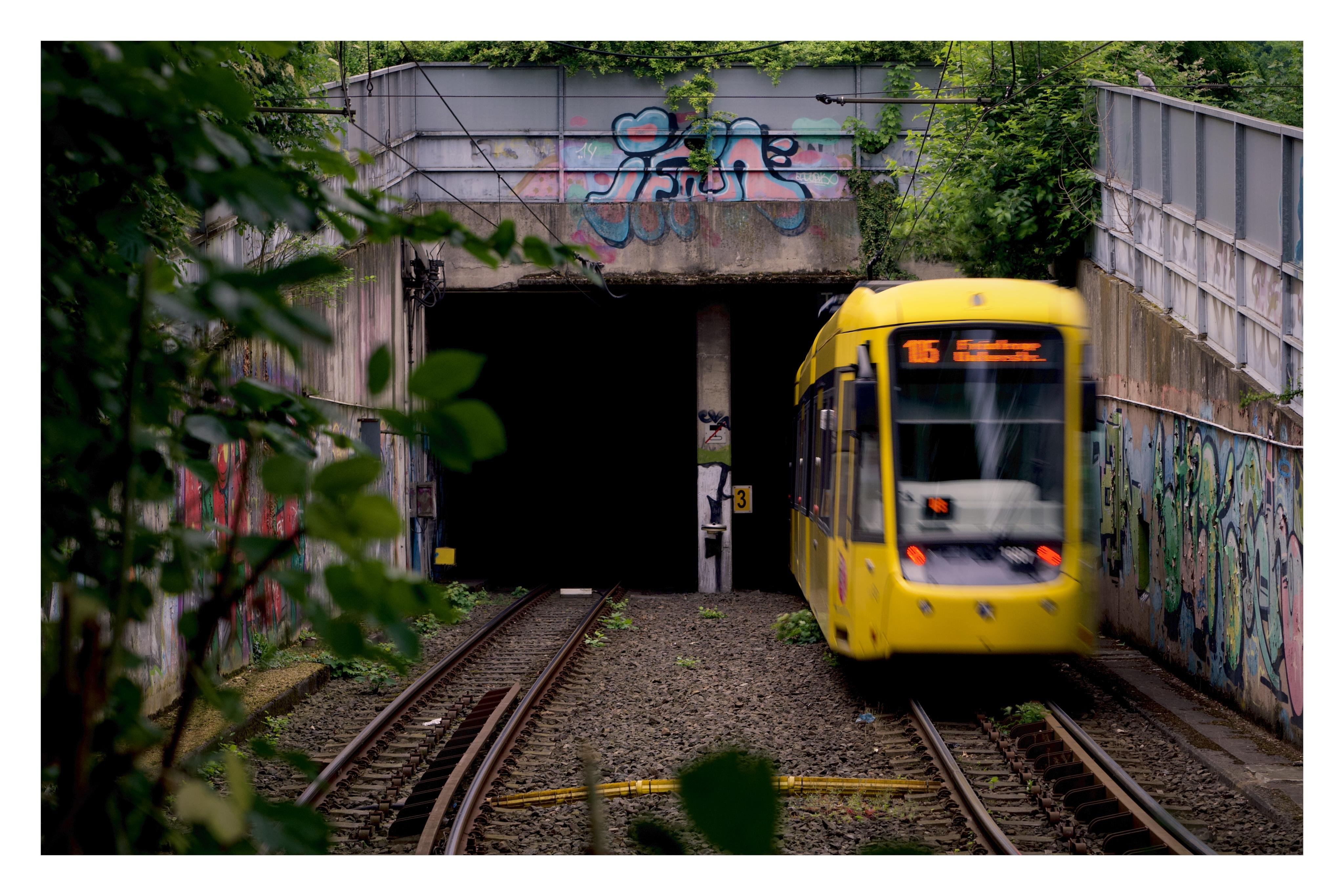 Gelbe Straßenbahn in einen graffitibedeckten Tunnel mit zwei dunklen Röhren, umgeben von Grün und Betonwänden.