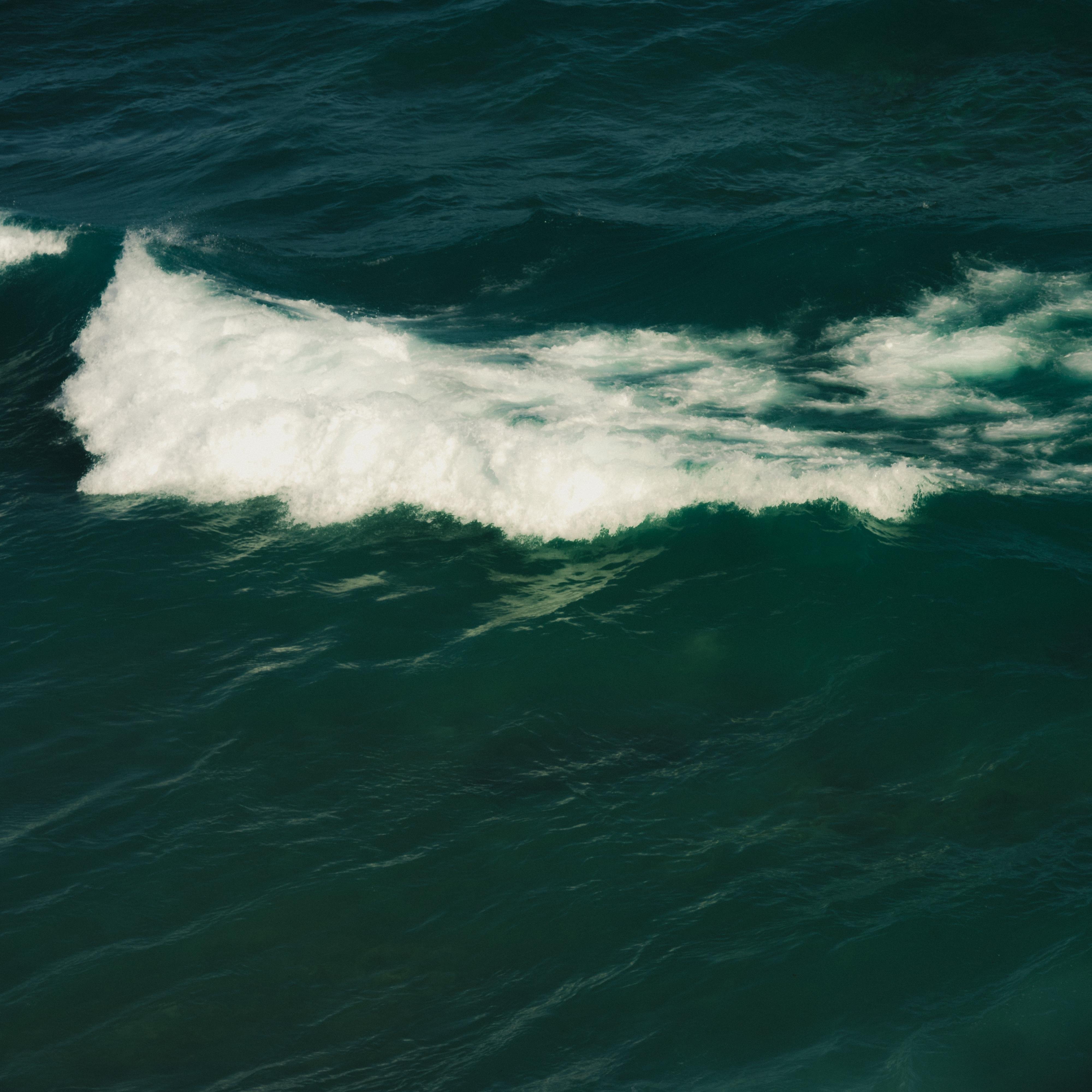 Wave in the ocean with white foam along the crest against deep green water.