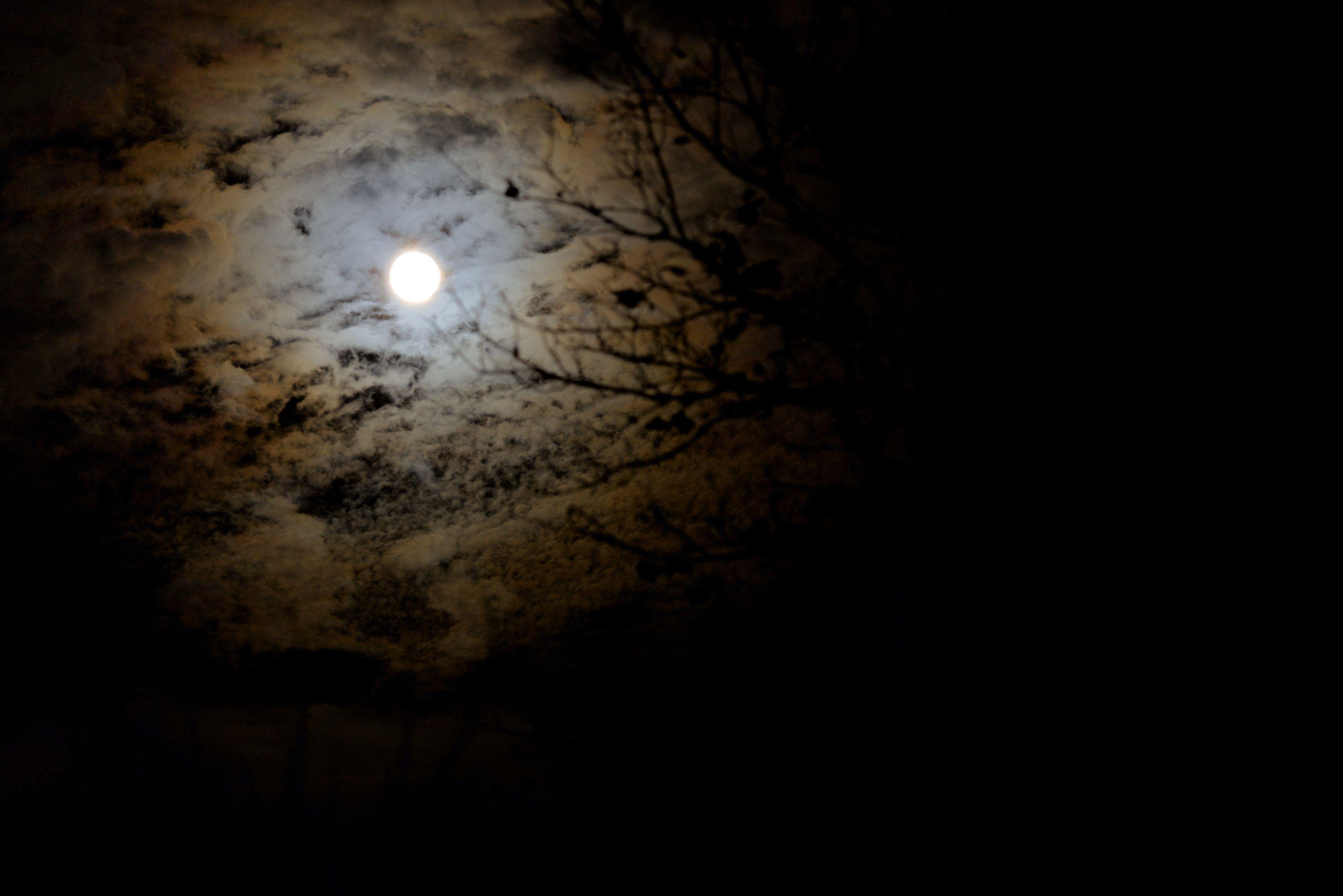 Photo de nuit avec la Lune et un fin rideau de nuage devant
