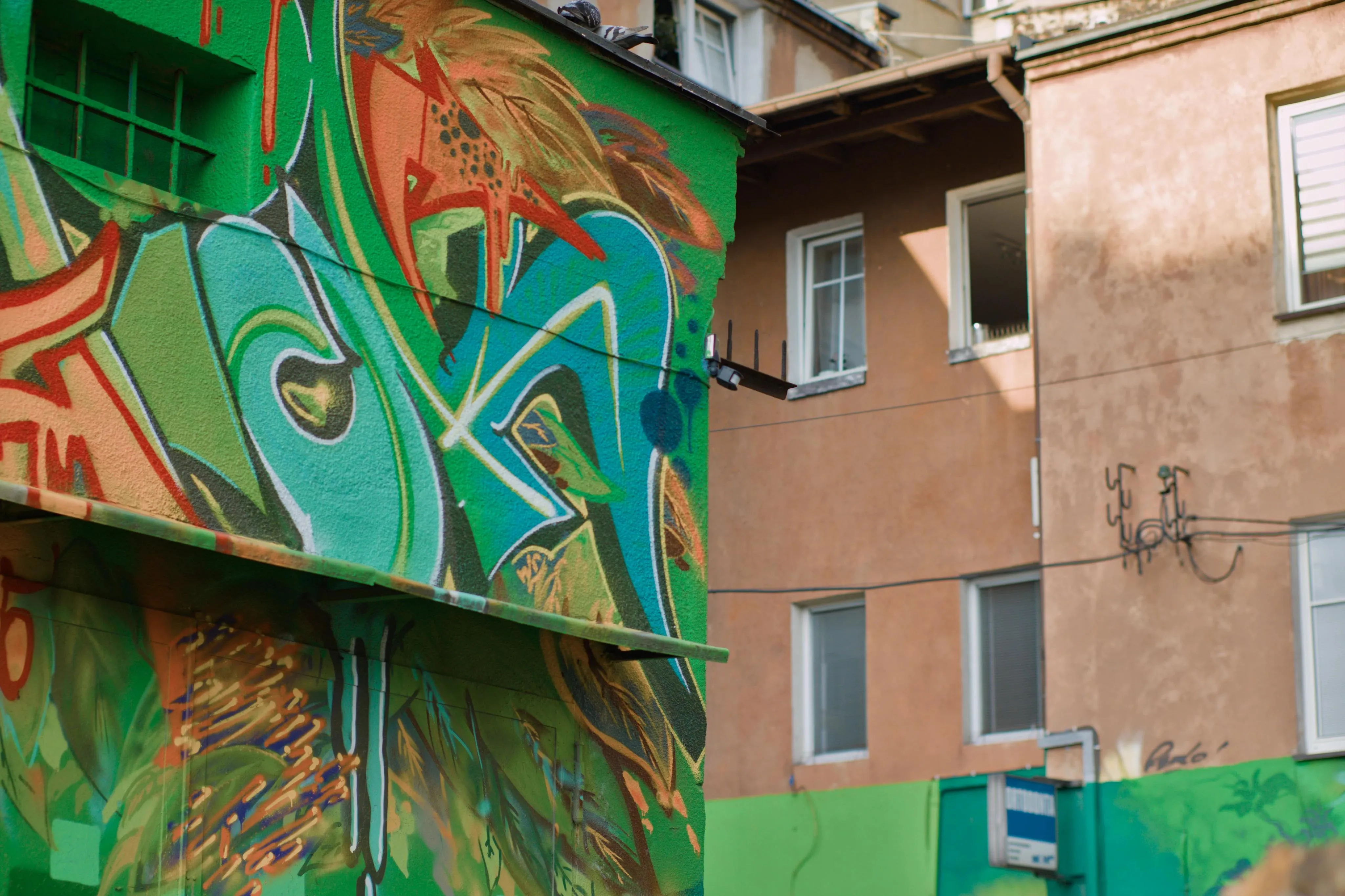 A photo of a graffiti on a building's wall