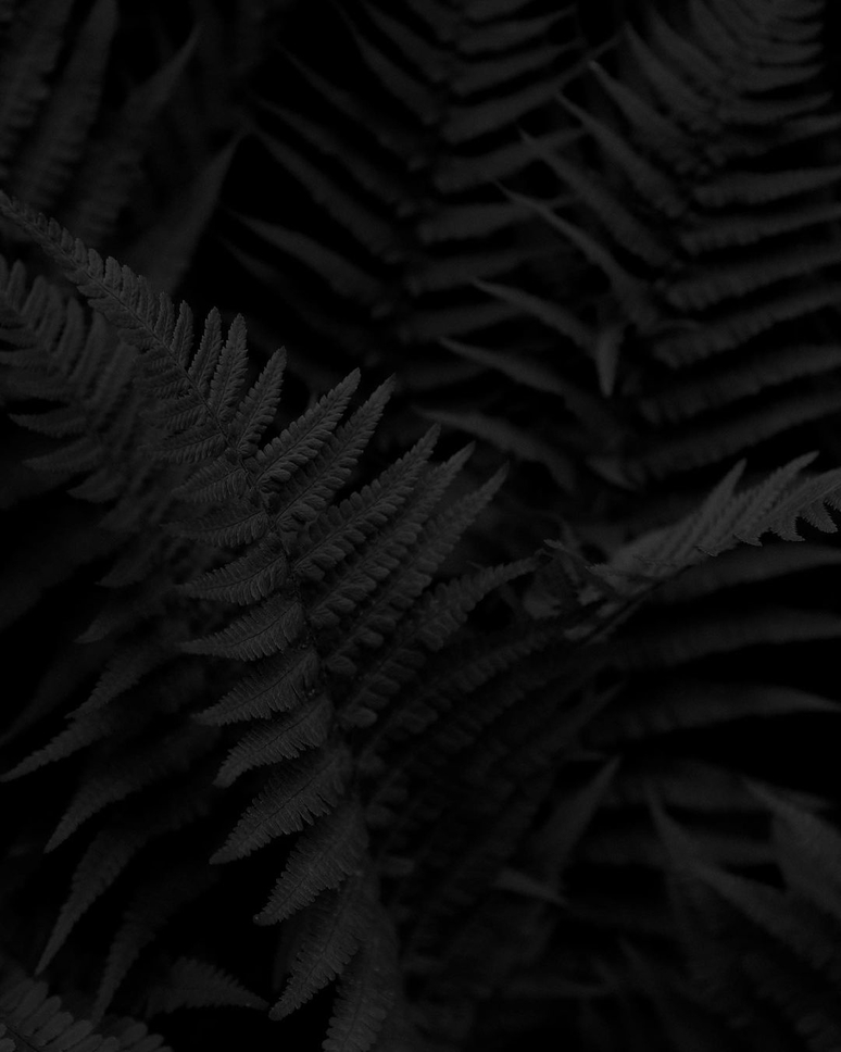 header profile
