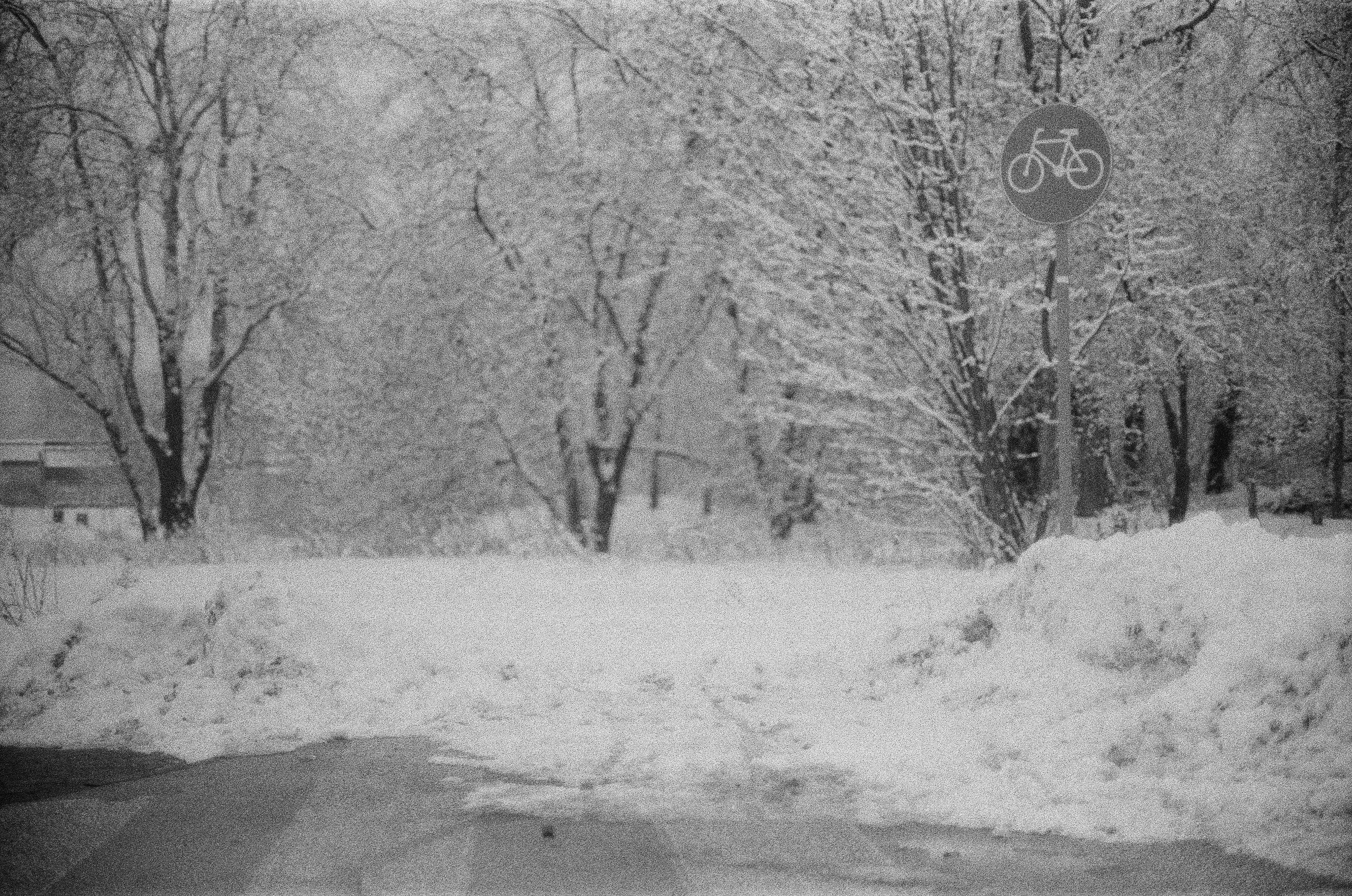 Snow-covered path through leafless trees, with a bicycle route sign on a pole at the right and snowbanks along both sides; a small building partially visible in the left background.