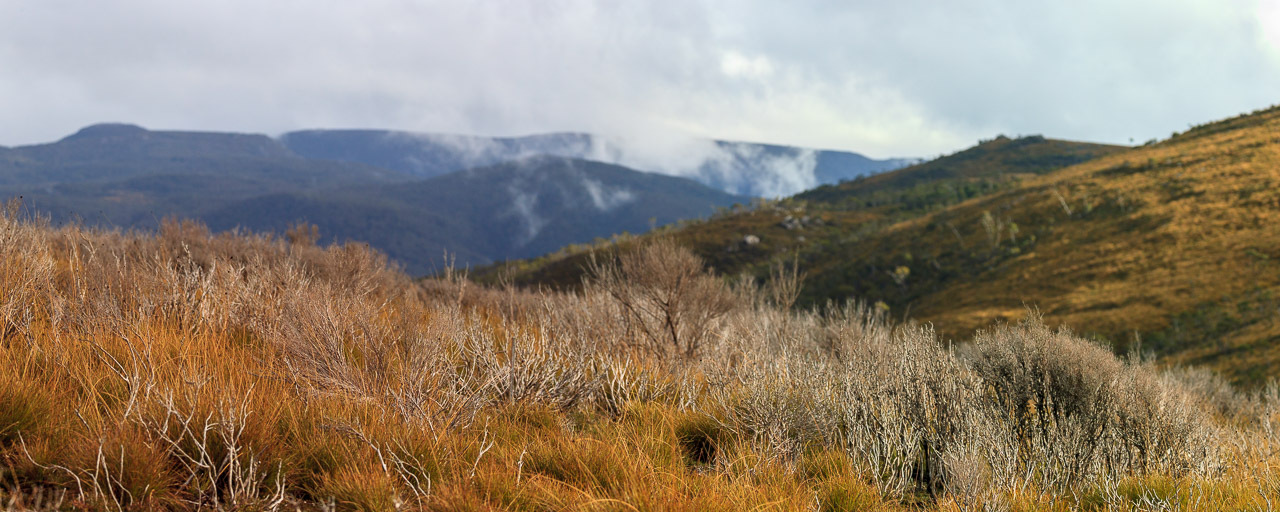 header profile