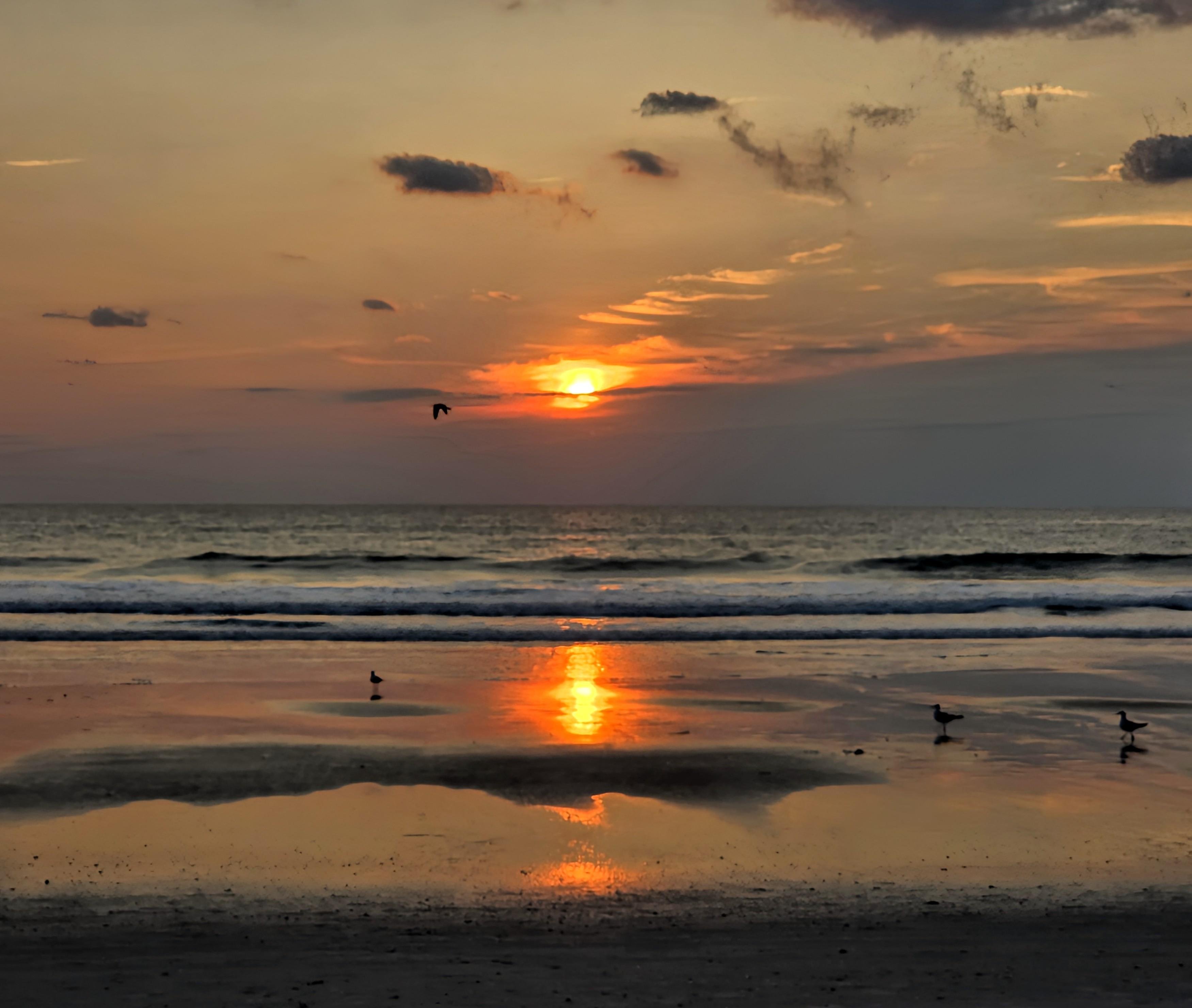 Sunrise over the ocean with an orange sky and scattered clouds. The sun's reflection creates a shimmering path on wet sand. A few seagulls are visible in the foreground, and one bird flies near the horizon. Waves gently roll onto the shore.