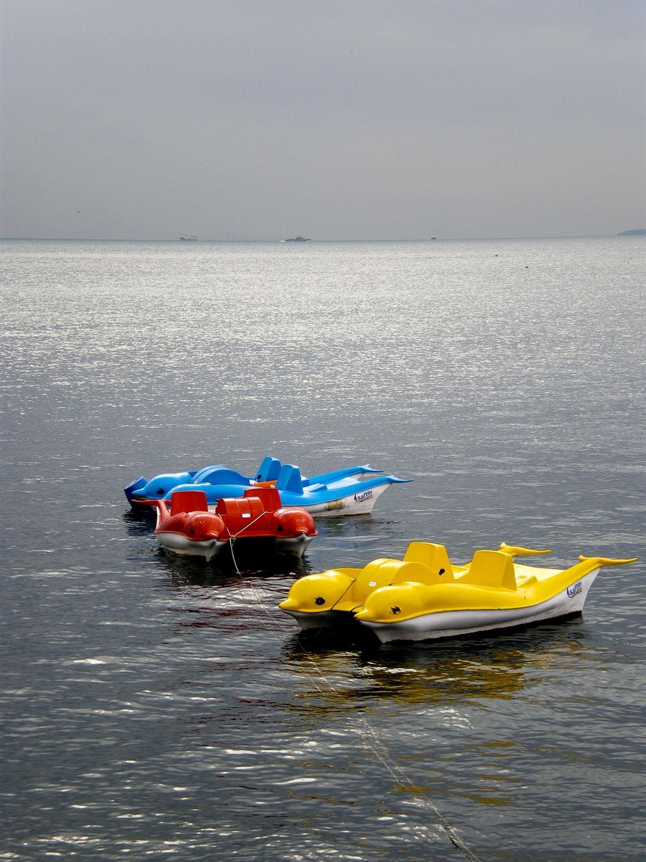 Three paddle boats shaped like dolphins—one yellow in the foreground, one red, and one blue behind—floating on calm water near shore, with a hazy horizon and distant ships in the background.