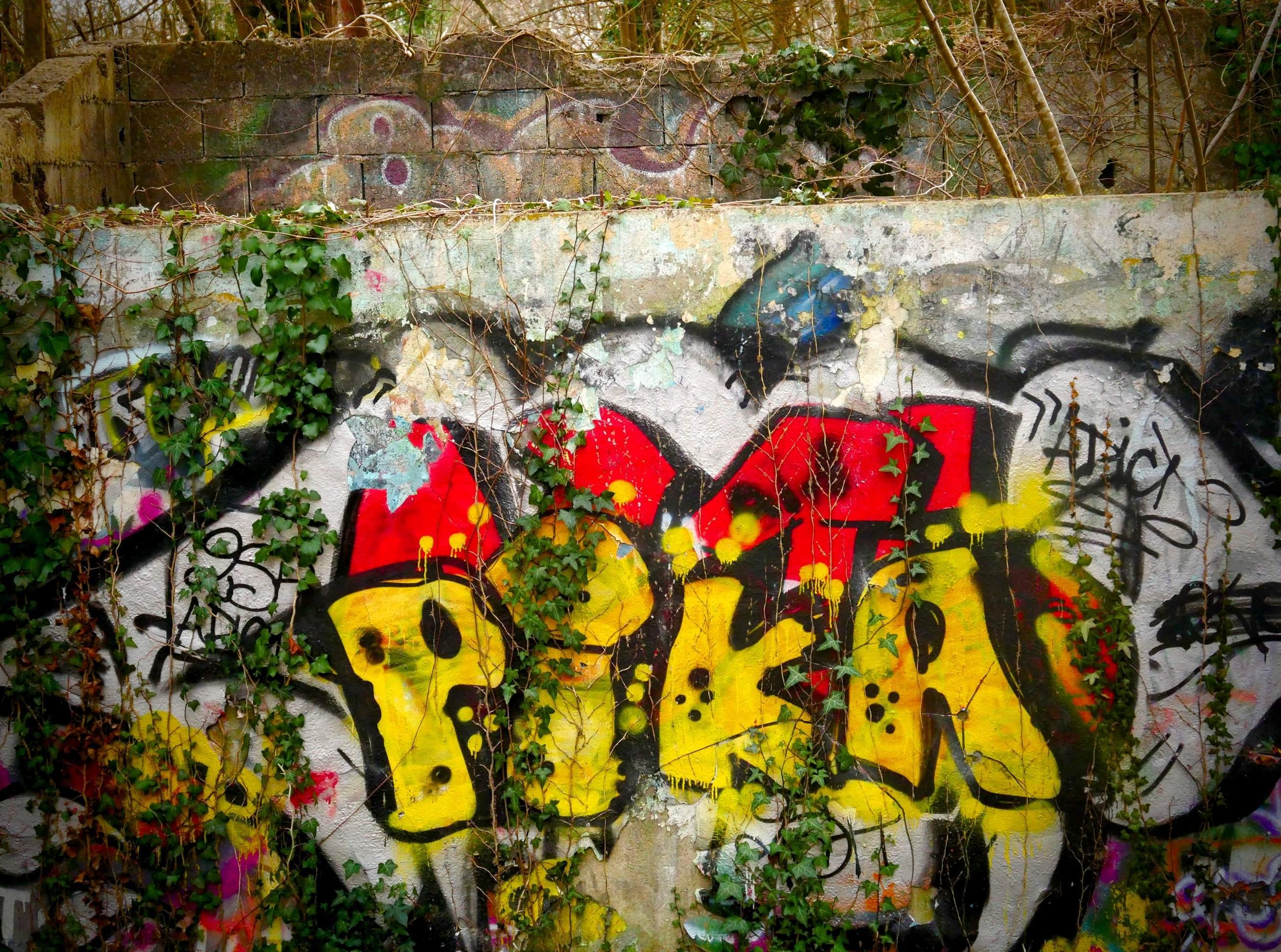 The image shows a wall covered in colorful graffiti. The graffiti includes prominent lettering in yellow saying "PIKA" with a black outline, set against a backdrop of other colors like red. There are some vines and plants growing over and around the graffiti, giving it an urban, overgrown appearance. The upper part of the wall shows more muted graffiti, blending into a more natural setting.