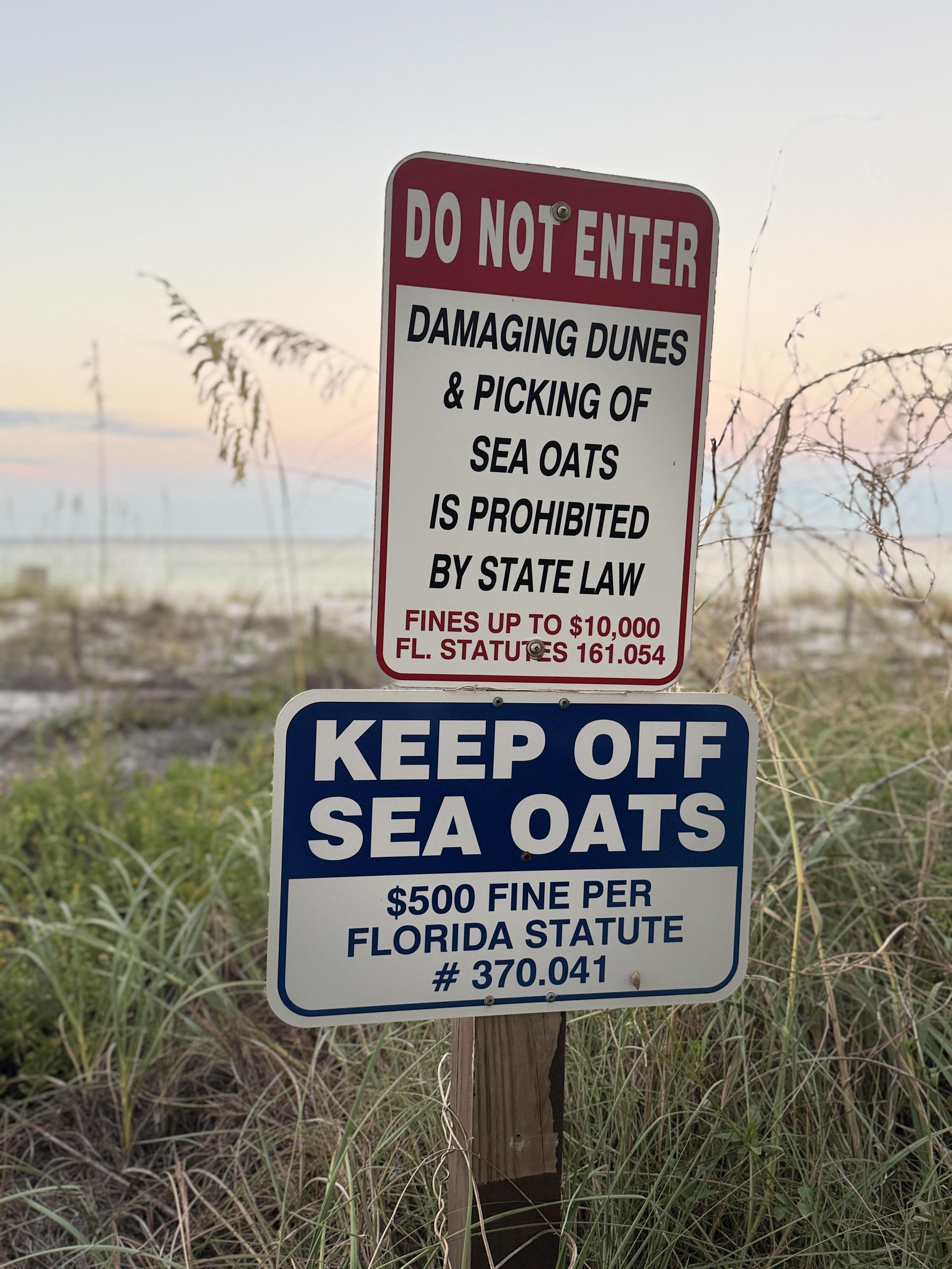 The image shows two signs posted on a wooden post in a natural setting, likely a beach area. The top sign is red and white, with bold white text that reads "DO NOT ENTER" at the top, followed by "DAMAGING DUNES & PICKING OF SEA OATS IS PROHIBITED BY STATE LAW" in black text. Below this, it states "FINES UP TO $10,000 FL. STATUTES 161.054" in red text. The bottom sign is blue and white, with bold white text that reads "KEEP OFF SEA OATS" at the top, followed by "$500 FINE PER FLORIDA STATUTE # 370.041" in black text. The background shows a beach with sand and sea oats, and the sky is visible with a soft gradient of colors, suggesting either sunrise or sunset. The signs are meant to inform and warn visitors about the legal consequences of damaging the dunes and picking sea oats.