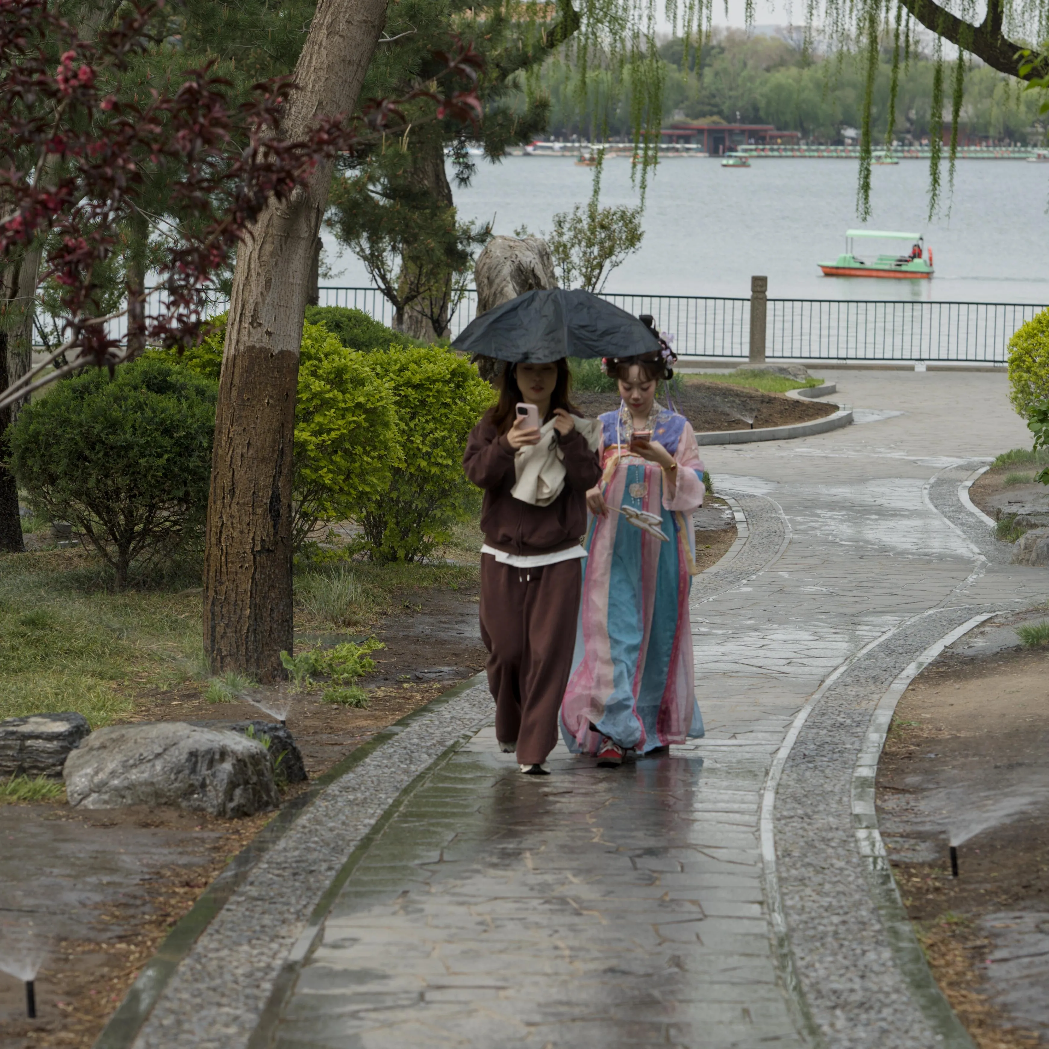 Daytime photograph of two young women walking close together in the pathway of a park. They are both looking at their smartphones. One is wearing brown tracksuit and holding an umbrella over her head, the other one is wearing a traditional-style Chinese long dress with light colors and an ornate hairdo. Several sprinklers are spraying water around on the grass patches surrounding the wet pathway.