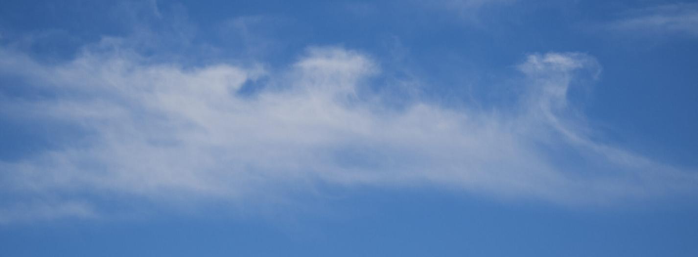 header profile