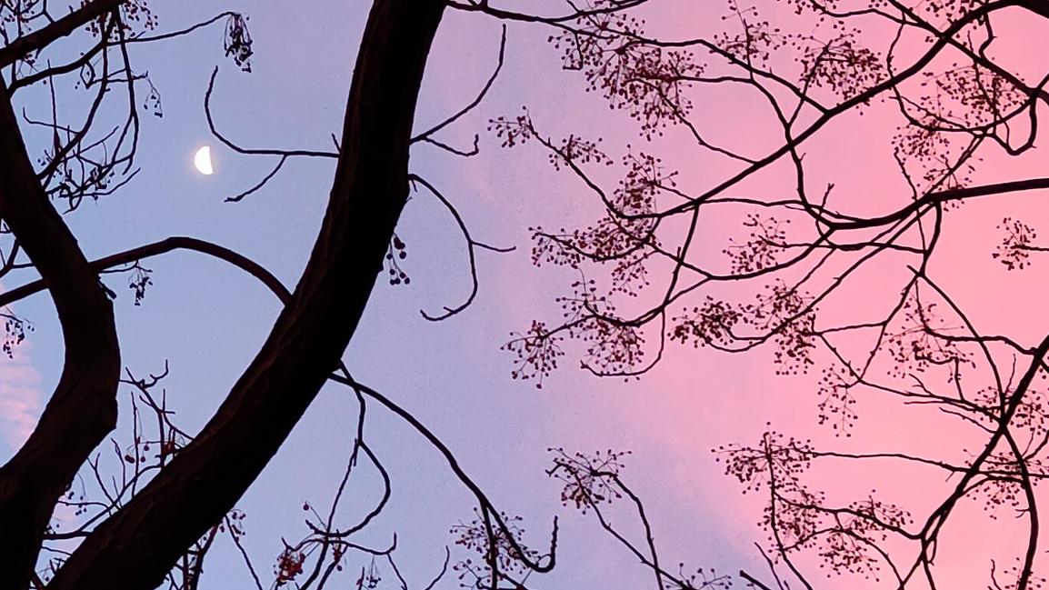 header profile