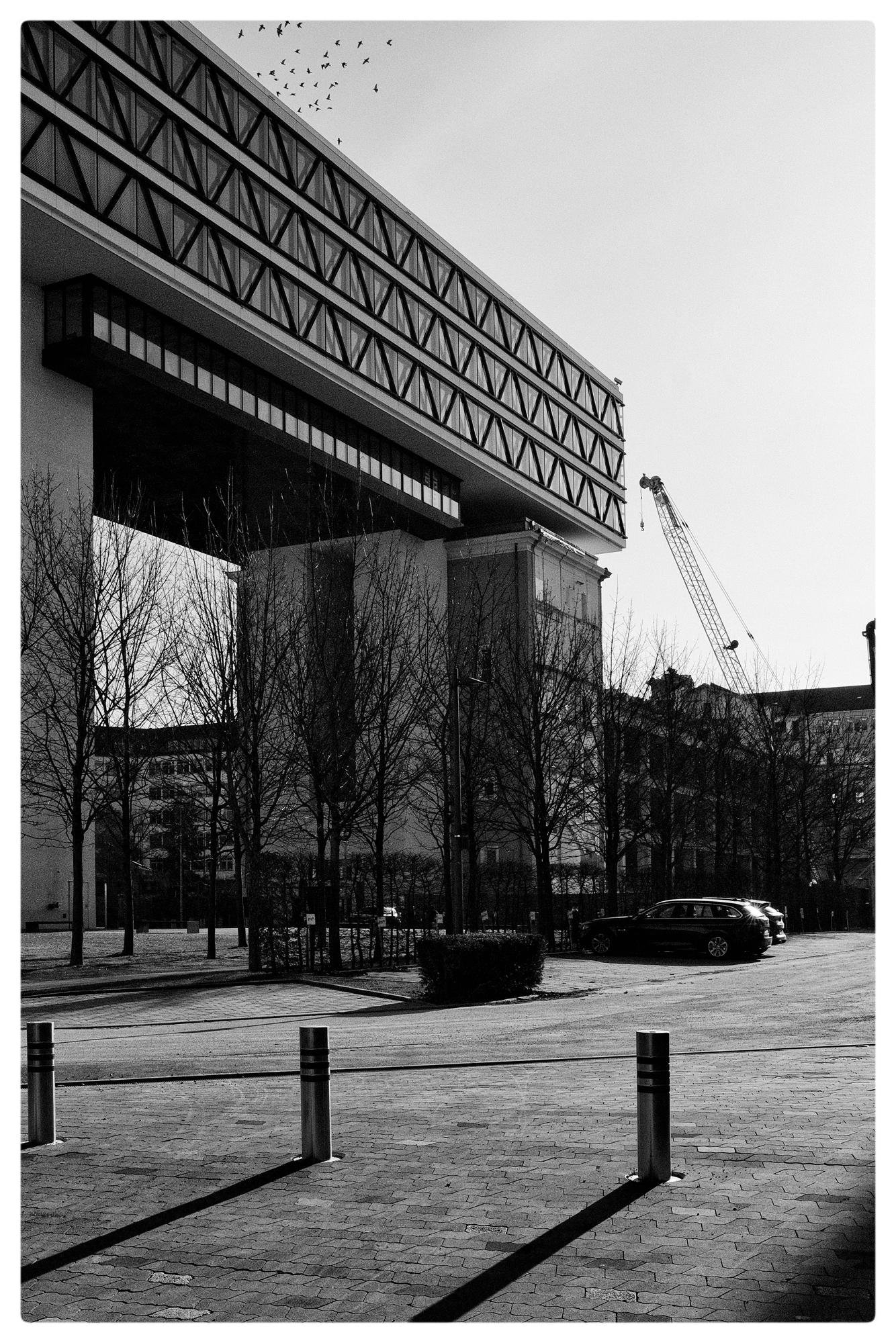 Modern architectural structure with a geometric facade and elevated bridge-like design. Leafless trees line the street below, casting shadows on the brick pavement. A few cars are parked nearby, and a crane is visible in the background. Flock of birds in the sky adds movement to the scene.