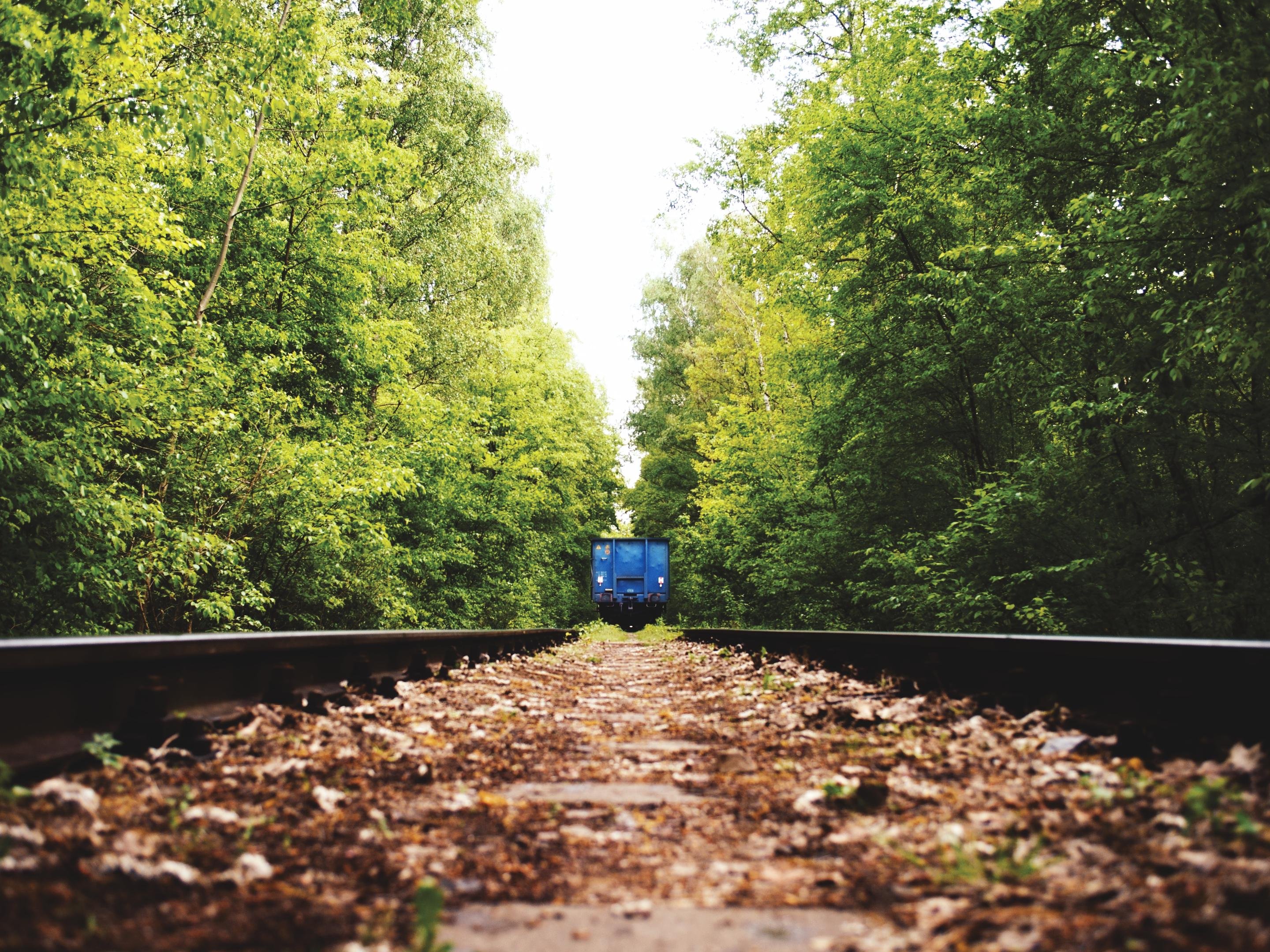 The image shows a railway track surrounded by dense green foliage and trees. A blue train or rail car is visible in the distance, creating a vanishing point perspective along the tracks. The scene has a natural, forest-like setting.