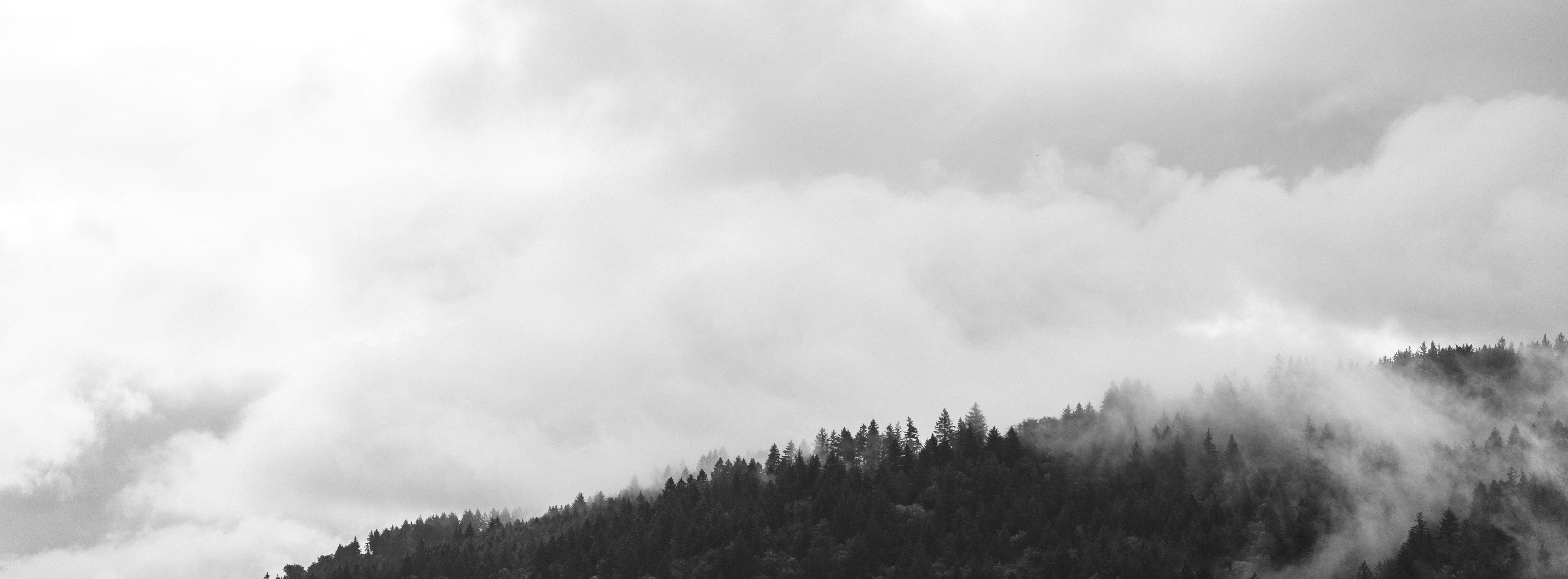 Fog rolling over a forested mountain range, with dense clouds above. The scene is in black and white, emphasizing the contrast between the dark trees and the light clouds.