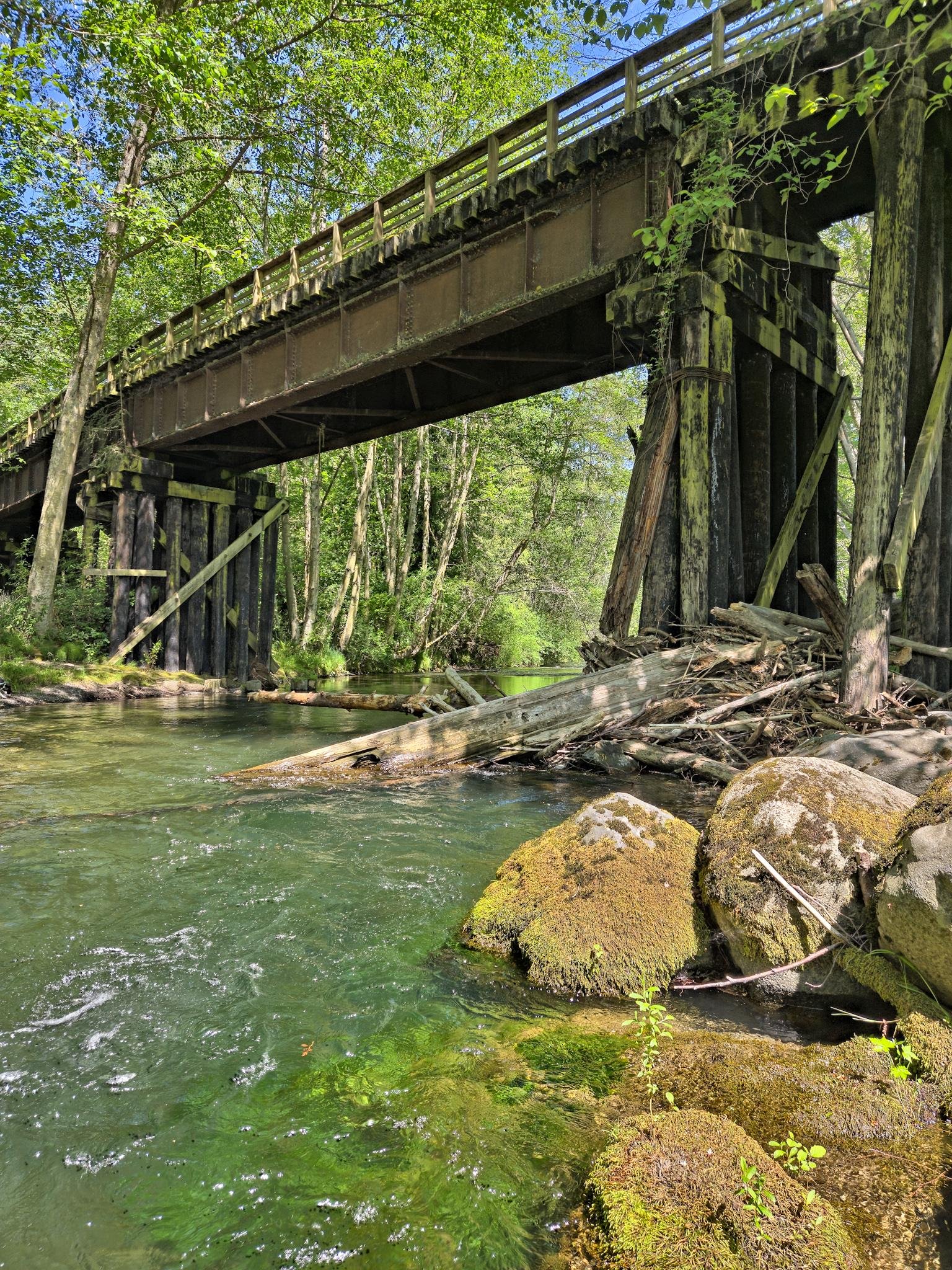 Wooden bridge with metal railings spans over a shallow, flowing creek. Green moss and algae cover rocks in the foreground. Tall trees with green foliage surround the area, casting dappled sunlight on the water. Logs and branches rest against the bridge supports.
