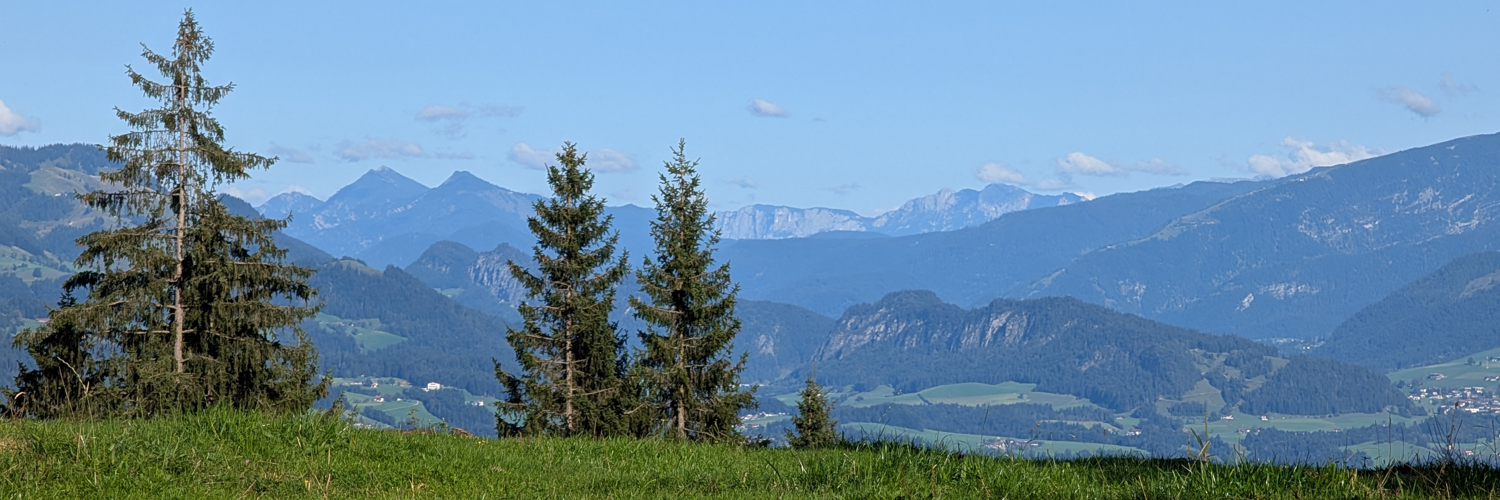 header profile