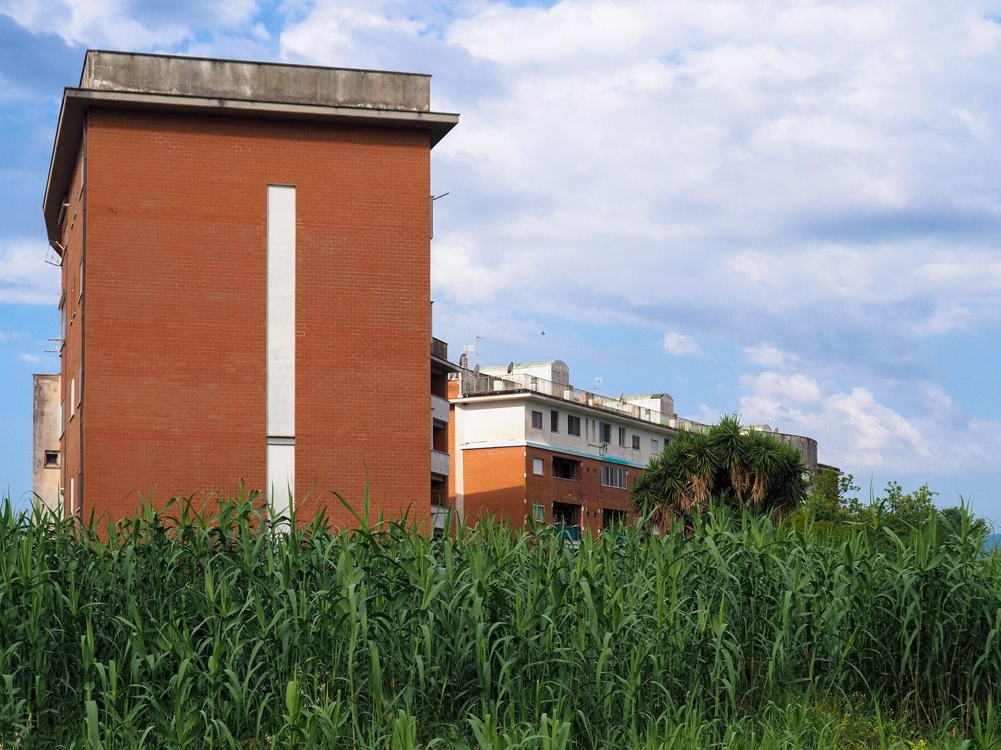 Palazzine popolari, con esterno in mattoni rossi, occultate alla base da un folto canneto verde. Il cielo è sereno ma nuvoloso.