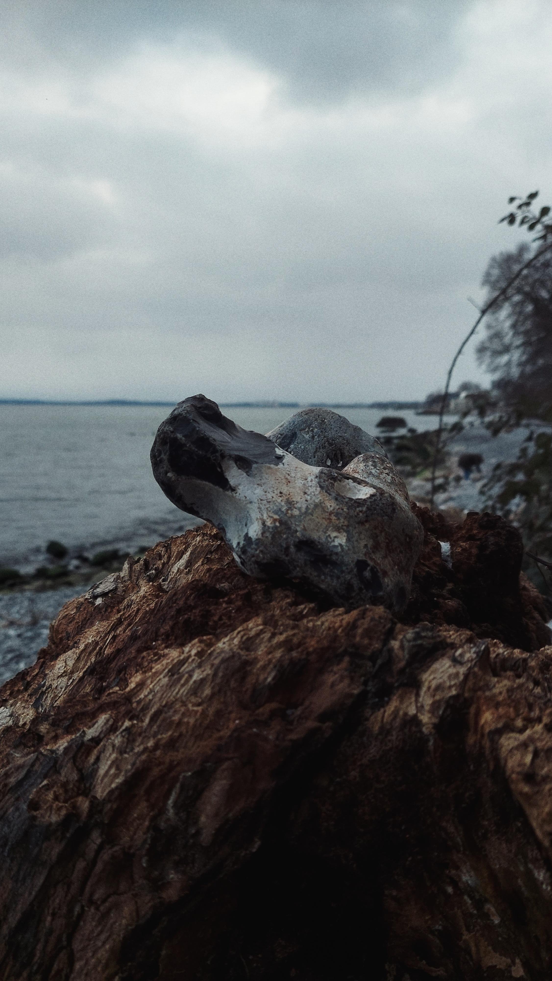 The image shows a close-up of rocks or stones placed on a weathered piece of wood. In the background, there is a body of water and a cloudy sky, suggesting a lakeside or seaside setting. Some foliage is visible on the right side. The overall tone of the image is moody and atmospheric.