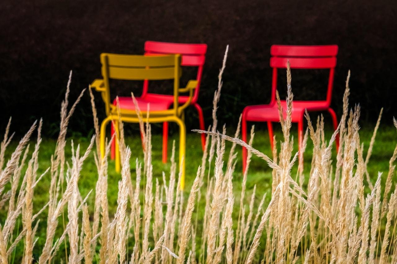 Three chairs are arranged on a grassy field, with two red chairs and one yellow chair between them. Tall, dry grass stalks are in the foreground, partially obscuring the view of the chairs. The background is dark, creating contrast with the vibrant chair colors.