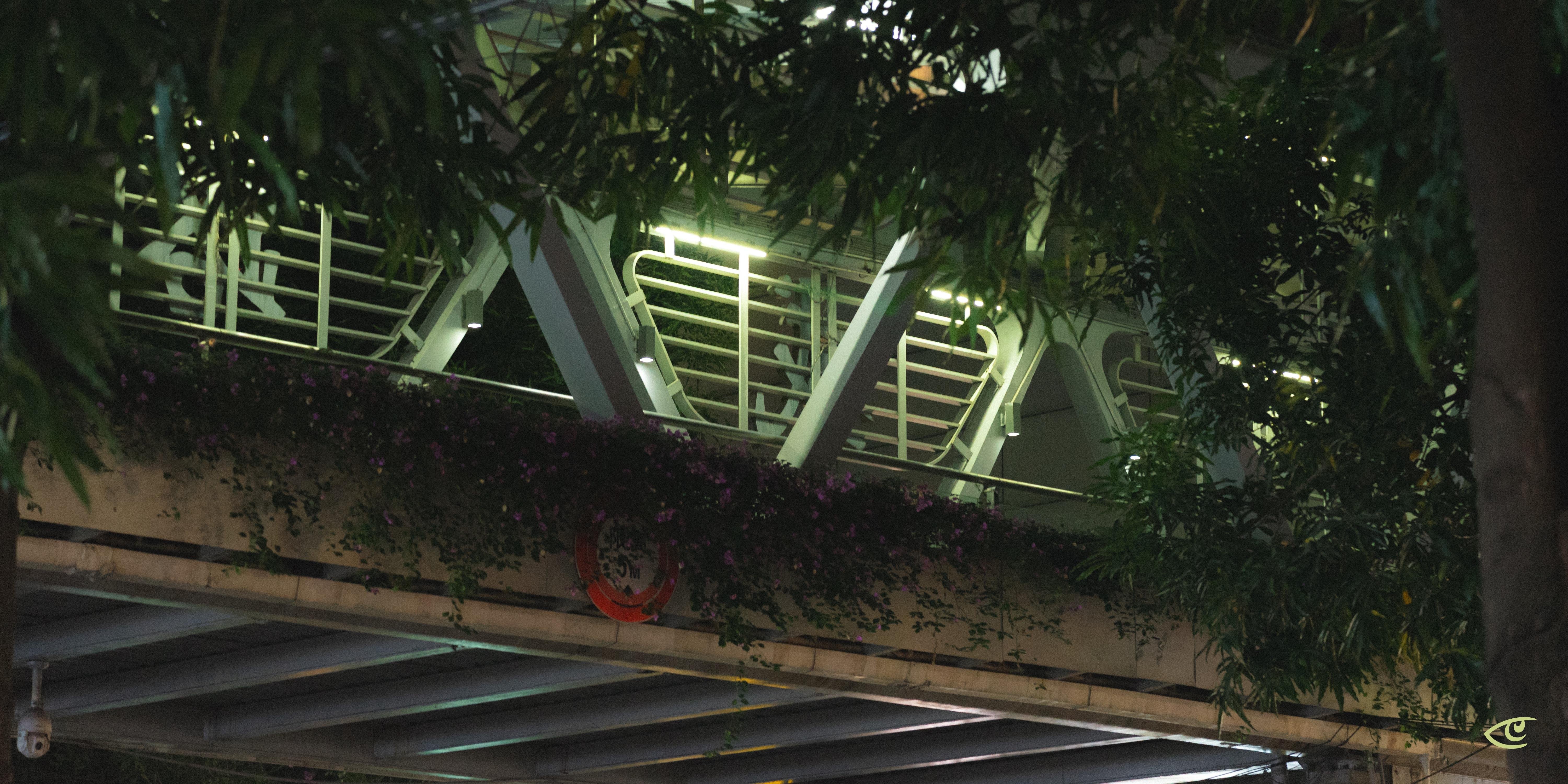 Elevated walkway framed by lush green foliage, featuring metallic railings and vertical supports. Soft artificial lighting illuminates the structure, while a vine with purple flowers grows along the upper edge. A red and white life preserver is attached to the side, and a cylindrical security camera is visible underneath the walkway.