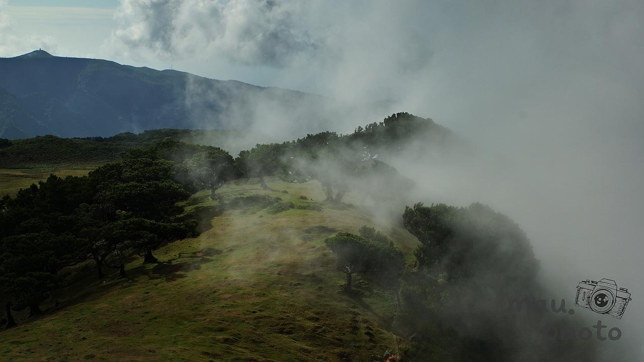 Fog drifting over a grassy hillside with scattered trees, with a dark mountain ridge in the background and dense clouds filling the right side of the frame.