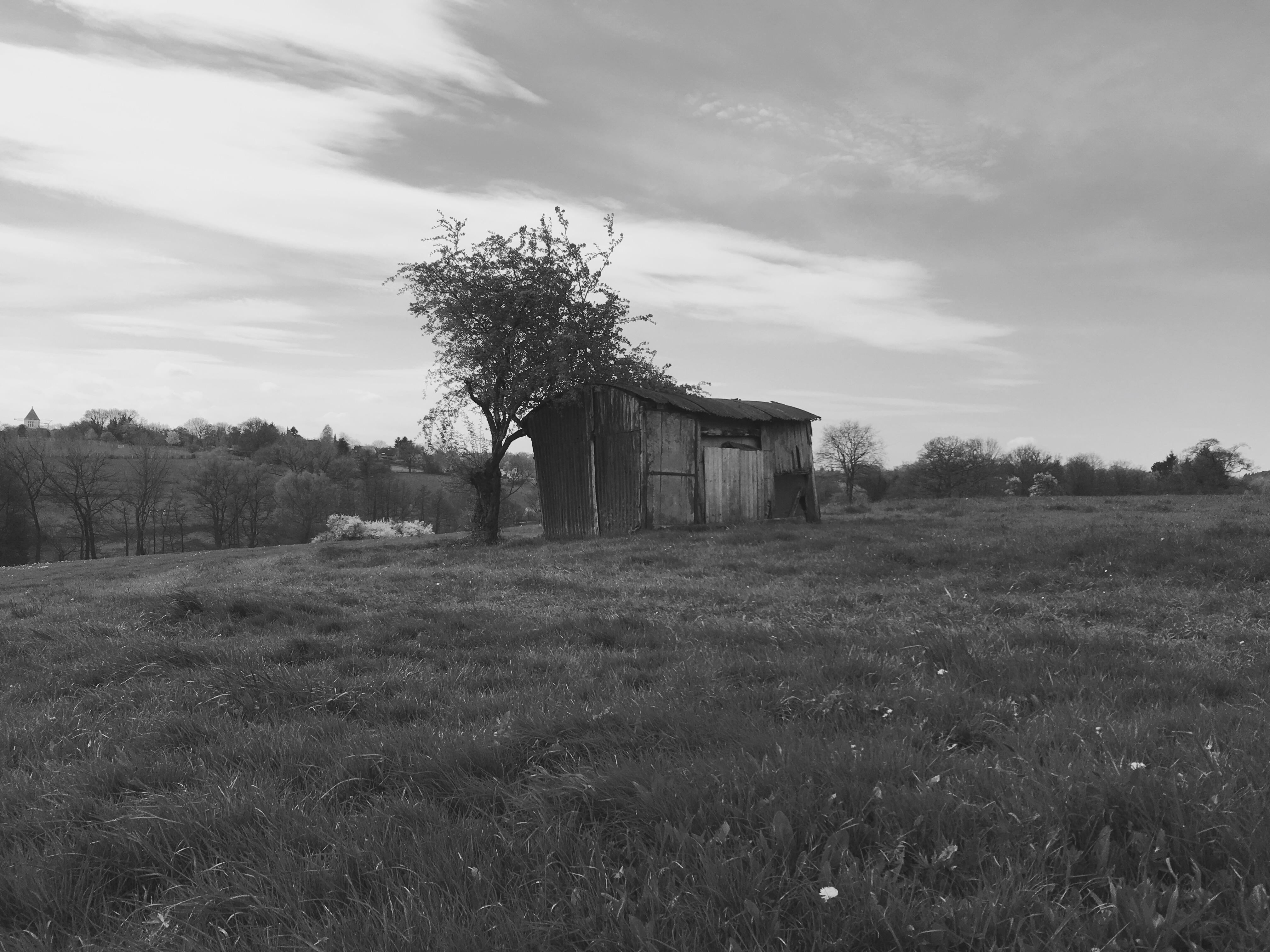 Das Bild zeigt einen kleinen, verlassenen Schuppen auf einem Feld. Der Schuppen ist aus Holz und Wellblech gebaut und hat ein Wellblechdach. Ein einzelner Baum steht neben der Hütte. Der Himmel ist bewölkt und das Bild ist in Schwarzweiß gehalten.