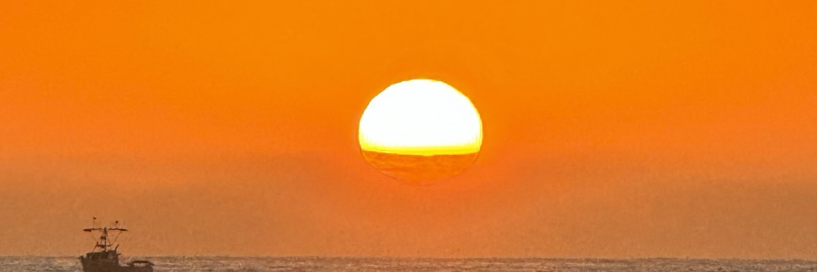 header profile