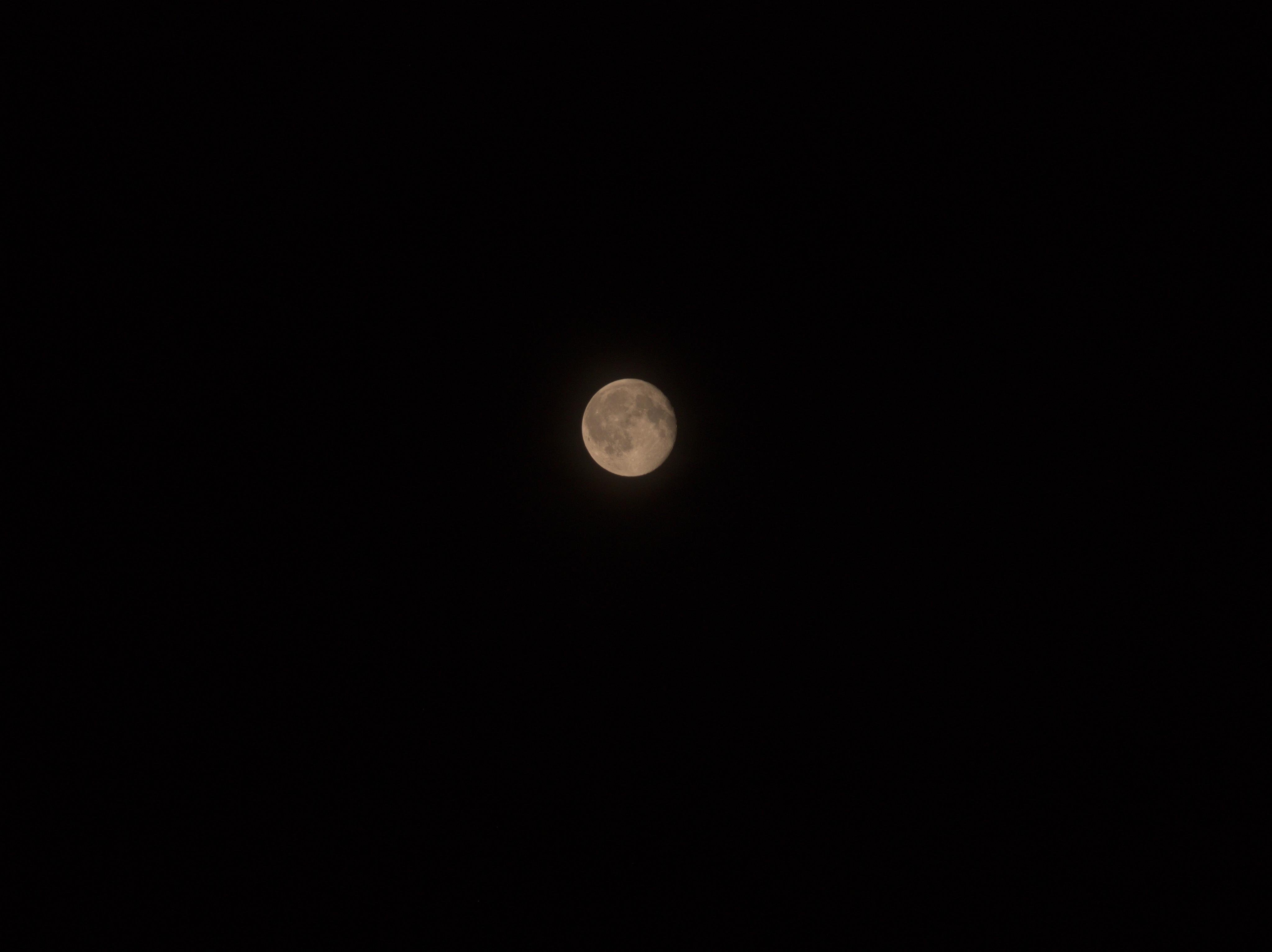 Nearly full moon centered against a dark night sky, with visible crater markings on its surface.