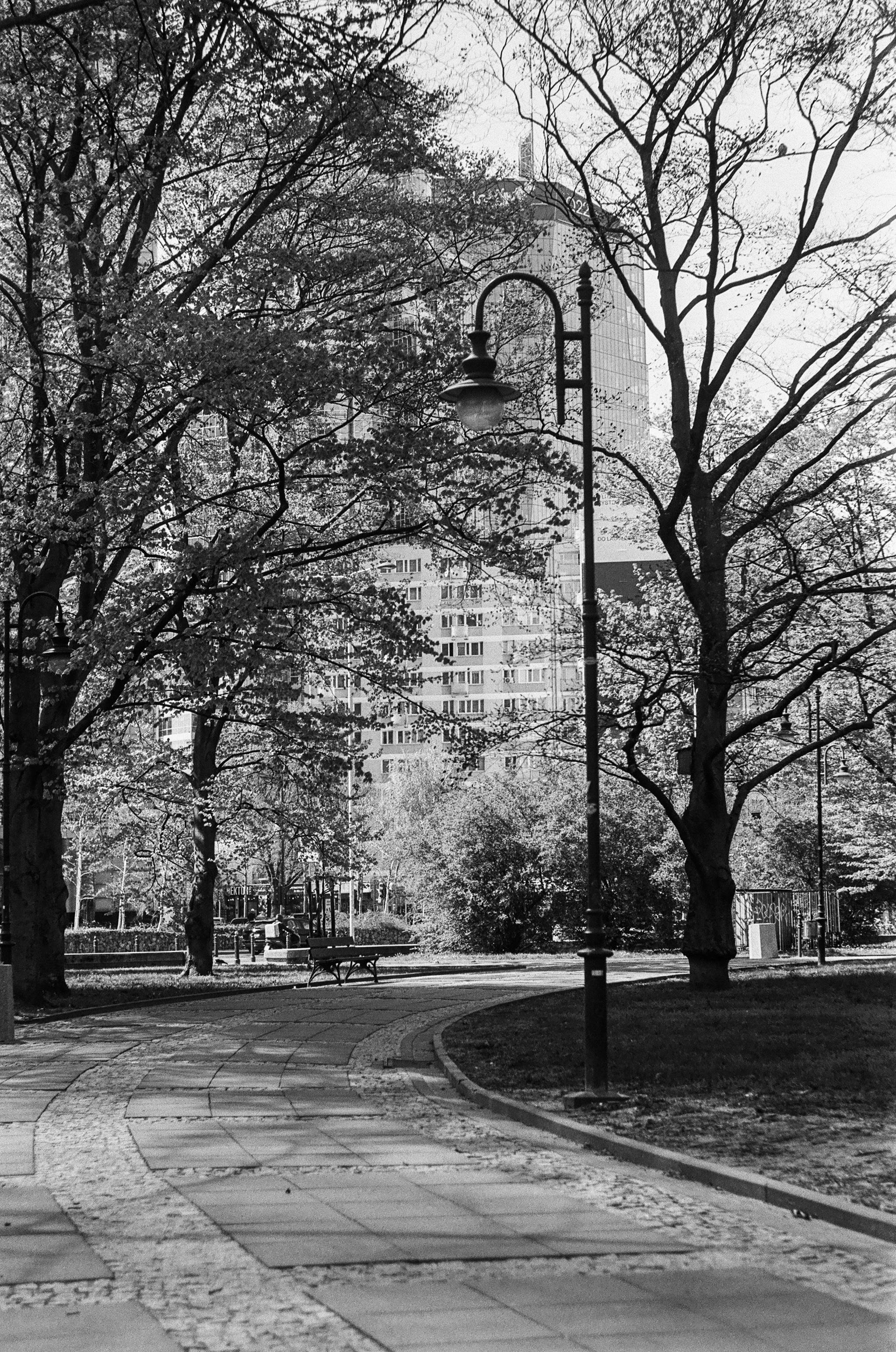 B&W film photo of a path in a small park near the Palace of Culture and Science, Warsaw