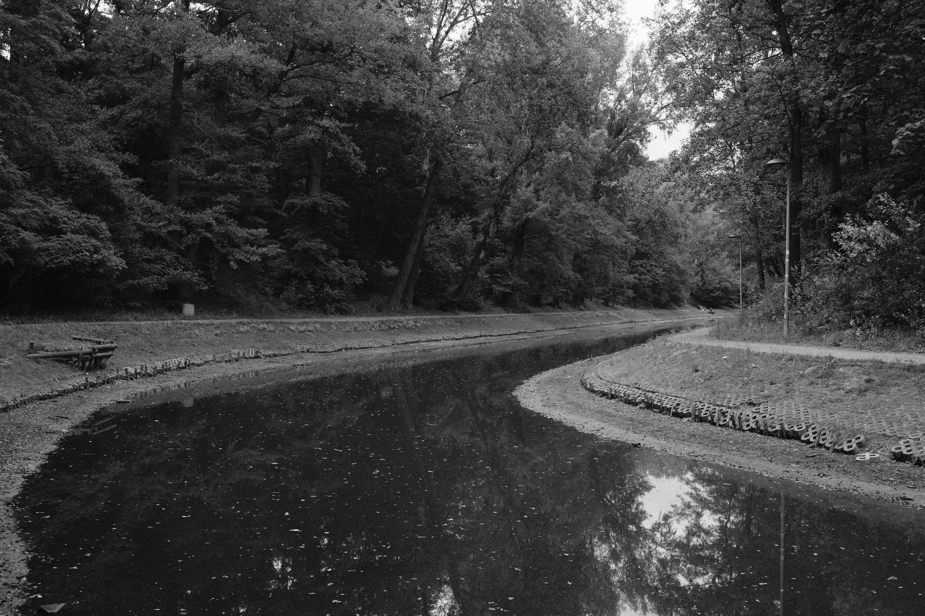 Black and white image of a narrow river or creek curving through a dense forest. Trees with thick foliage line both sides of the water. A grassy bank on the right features concrete reinforcement along the shoreline. A wooden bench sits on the left bank. Overcast sky reflected on the water’s surface.